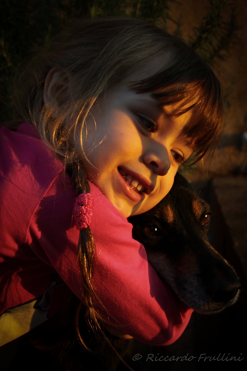 Due cuori e una cuccia