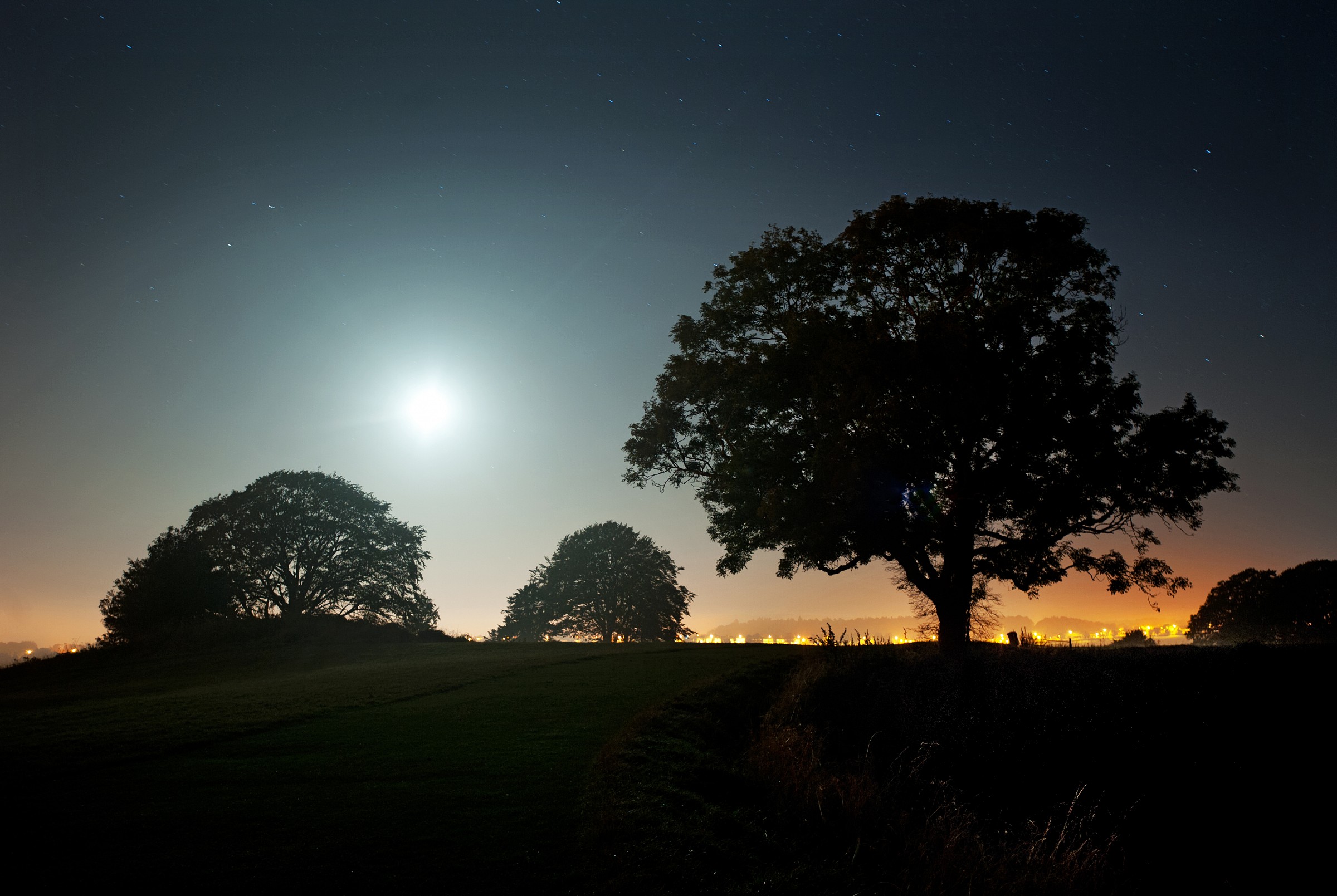 Tree and Moon