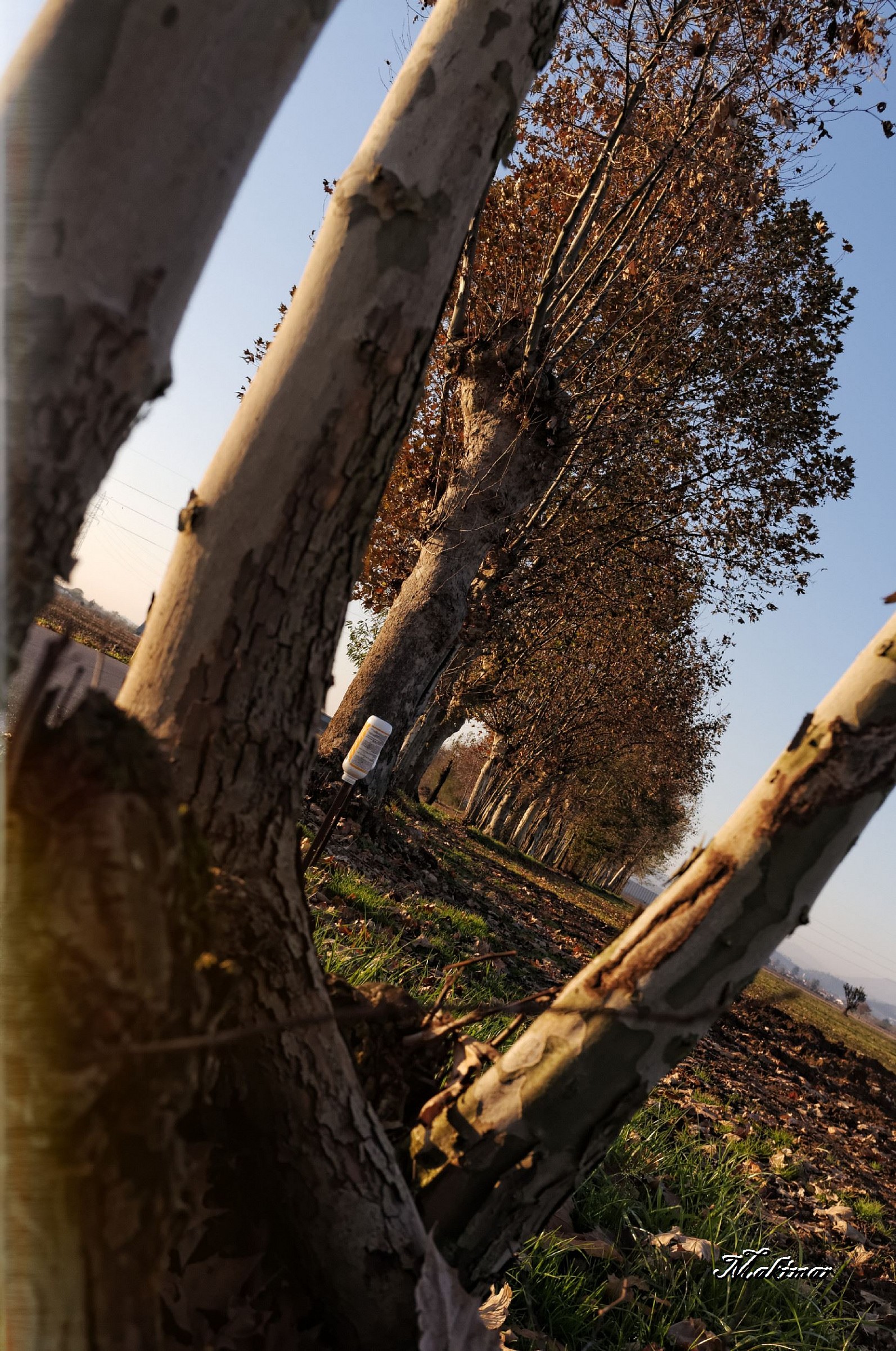 Between Paderno and Castlewellan