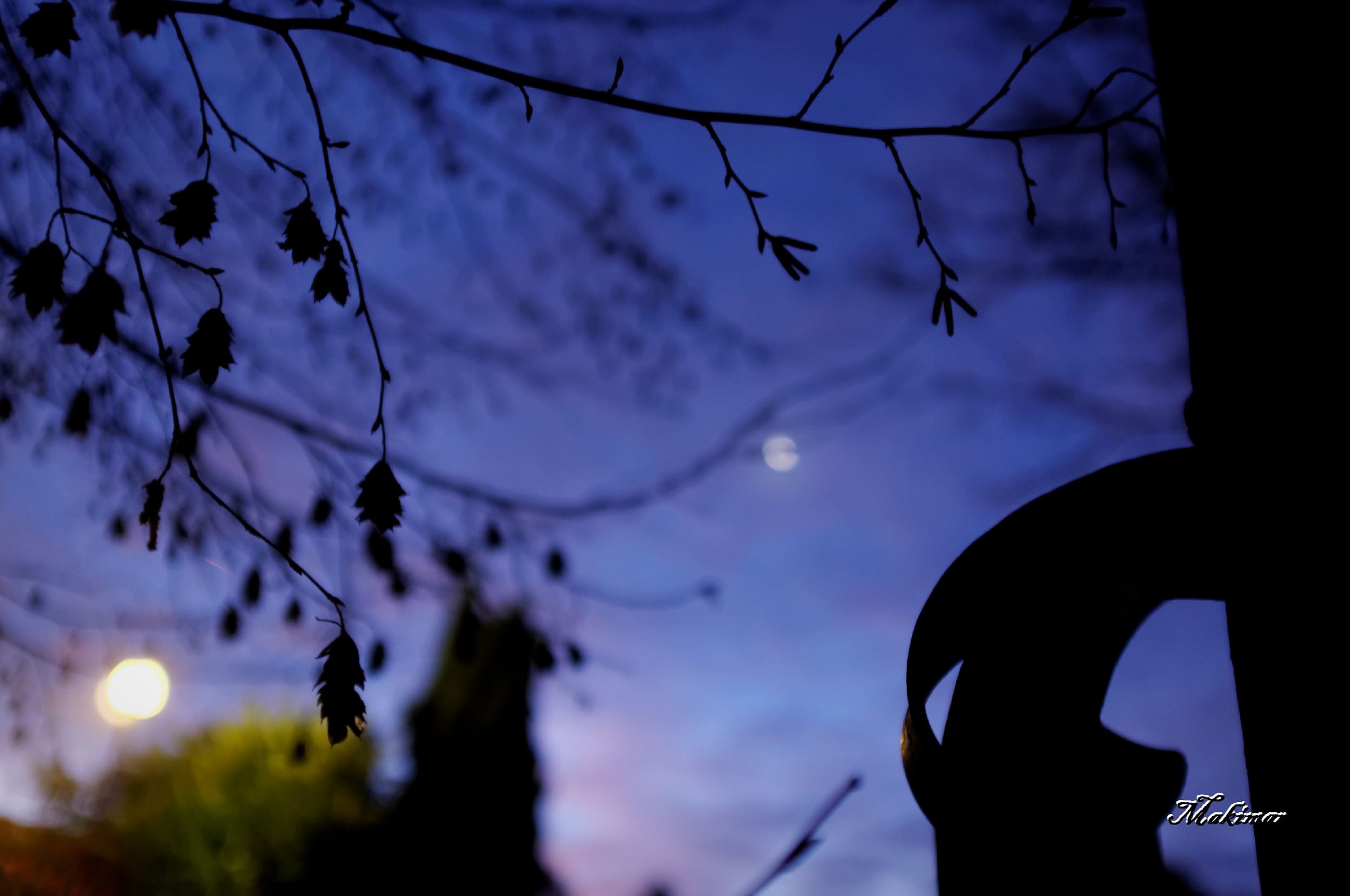 Look the sky's lights