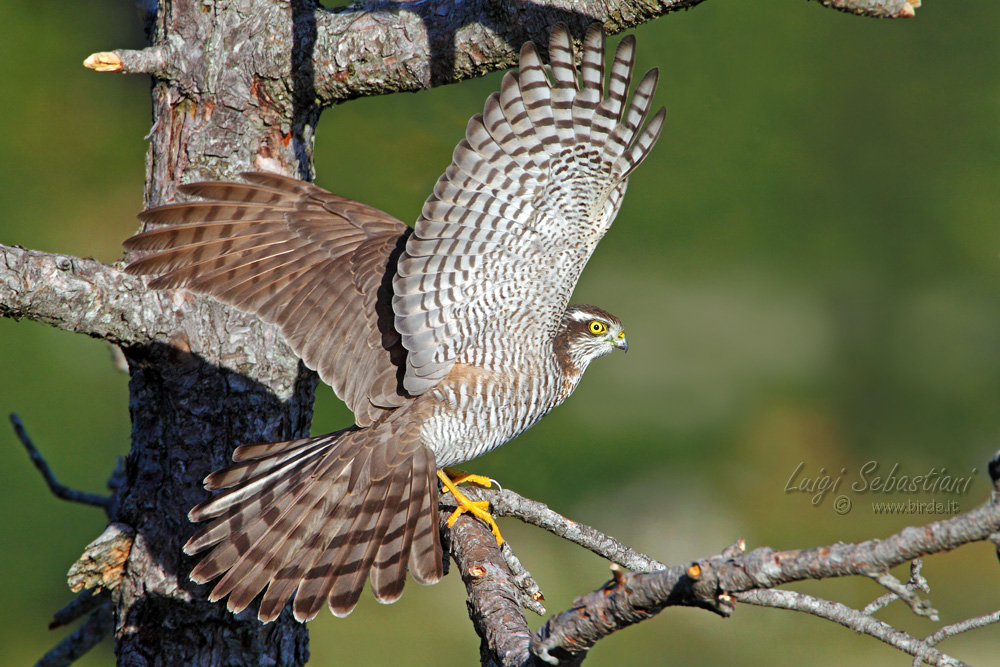 A moment of excitement!