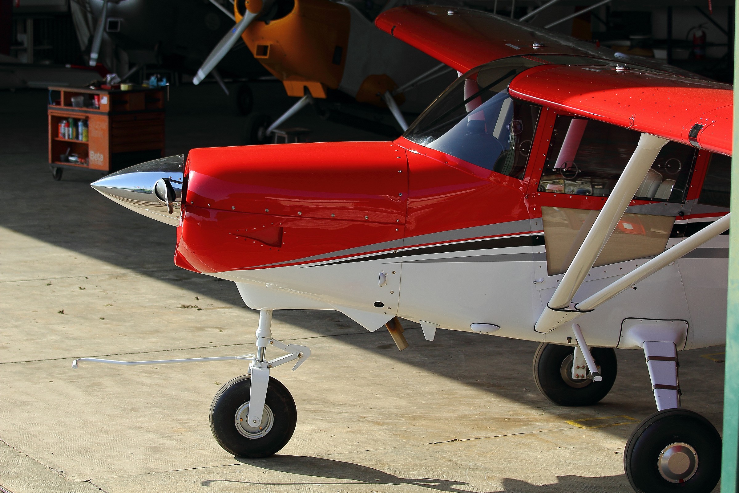 Great beautiful red ..