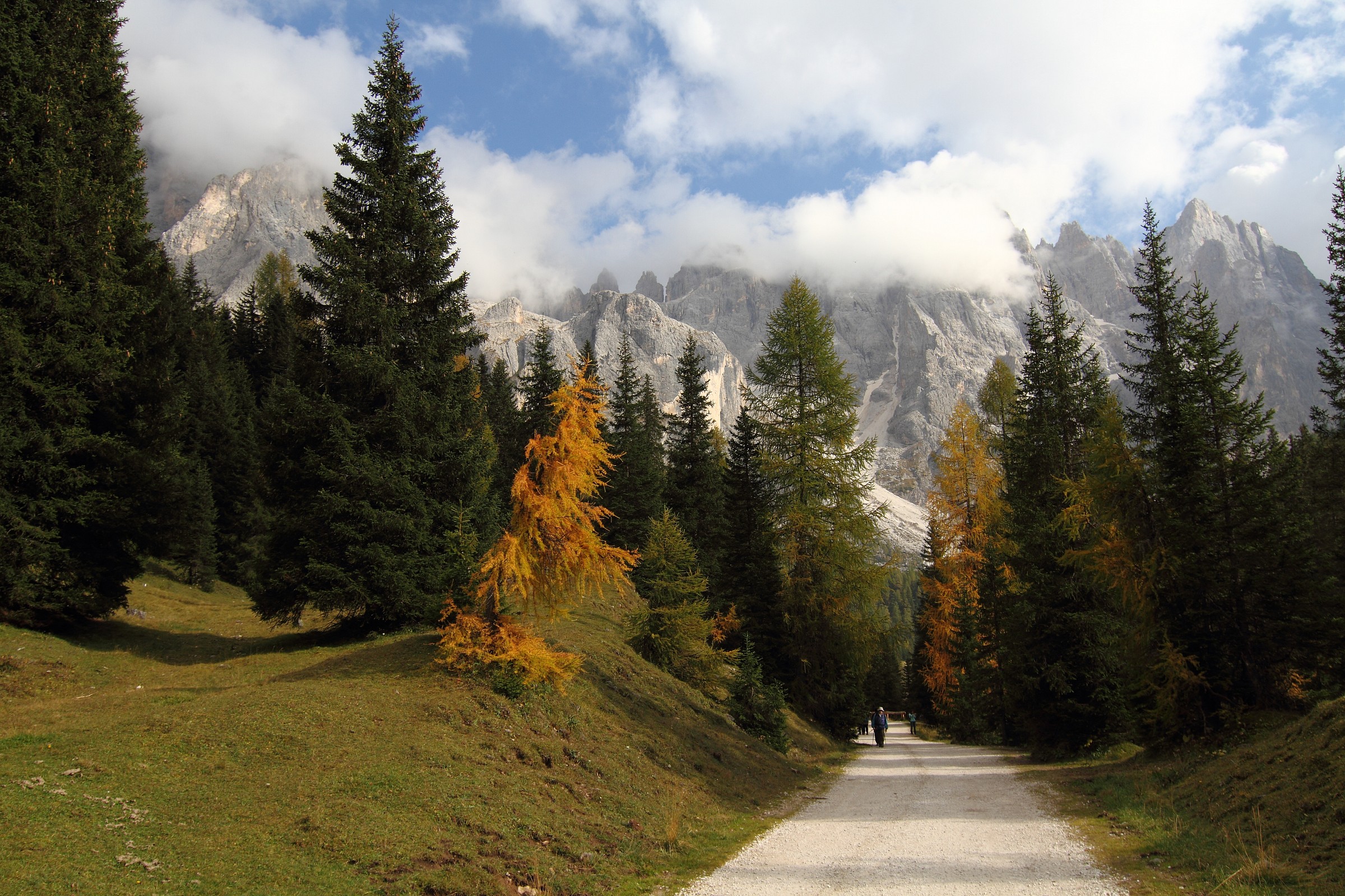 Val Venegia (Autumn)