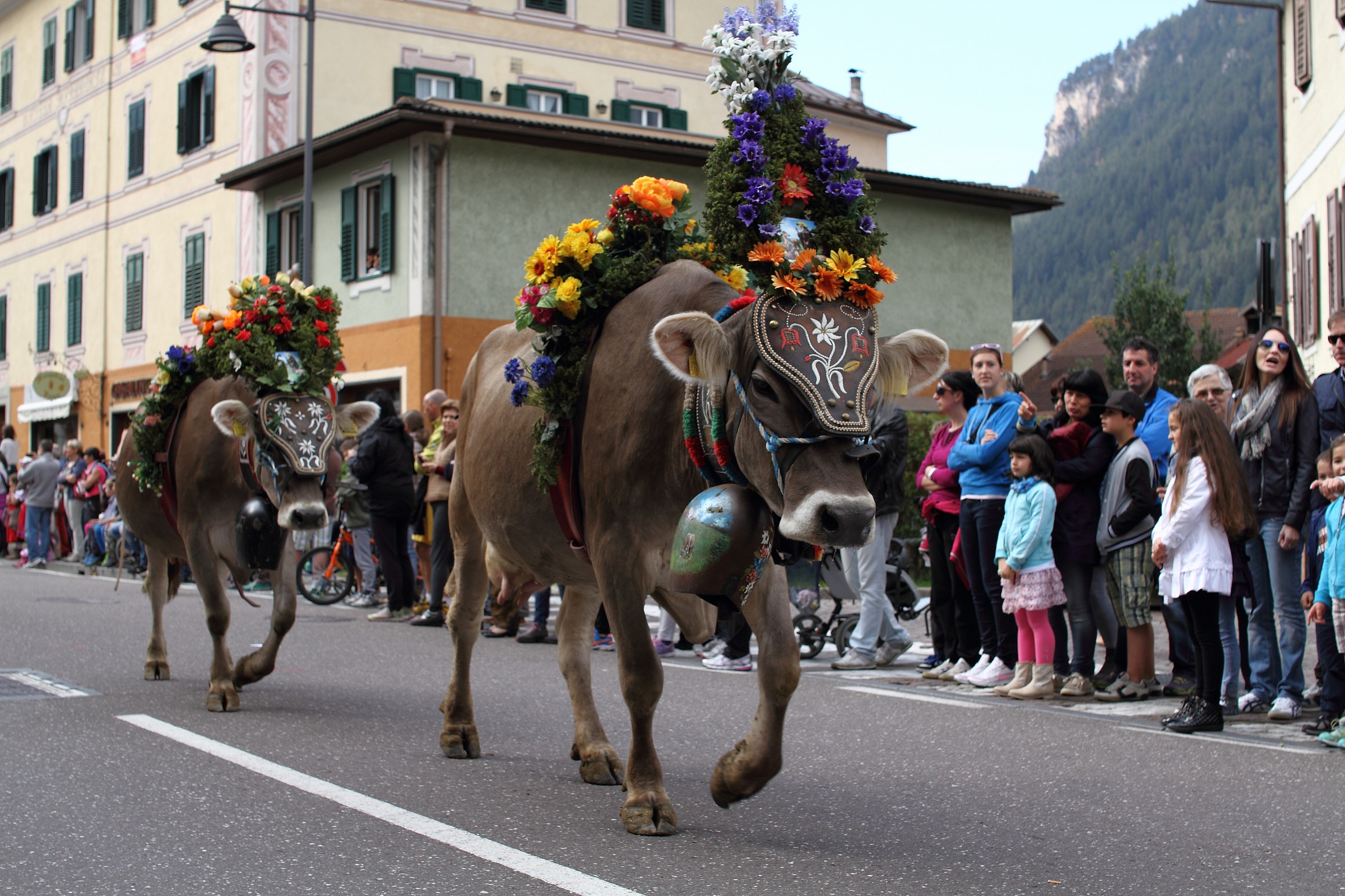 Desmontegada a Predazzo