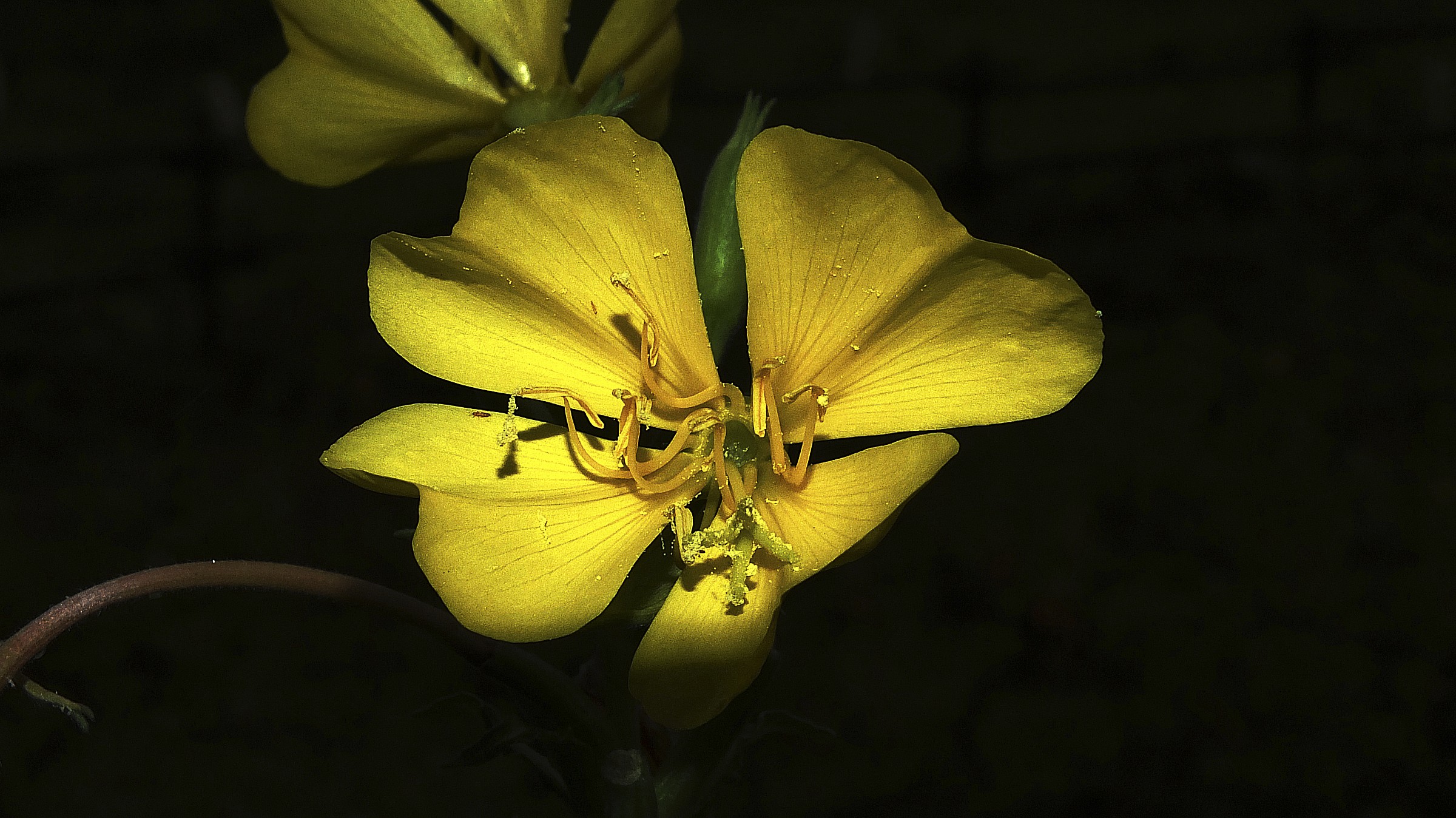 Si avvicina la fine...