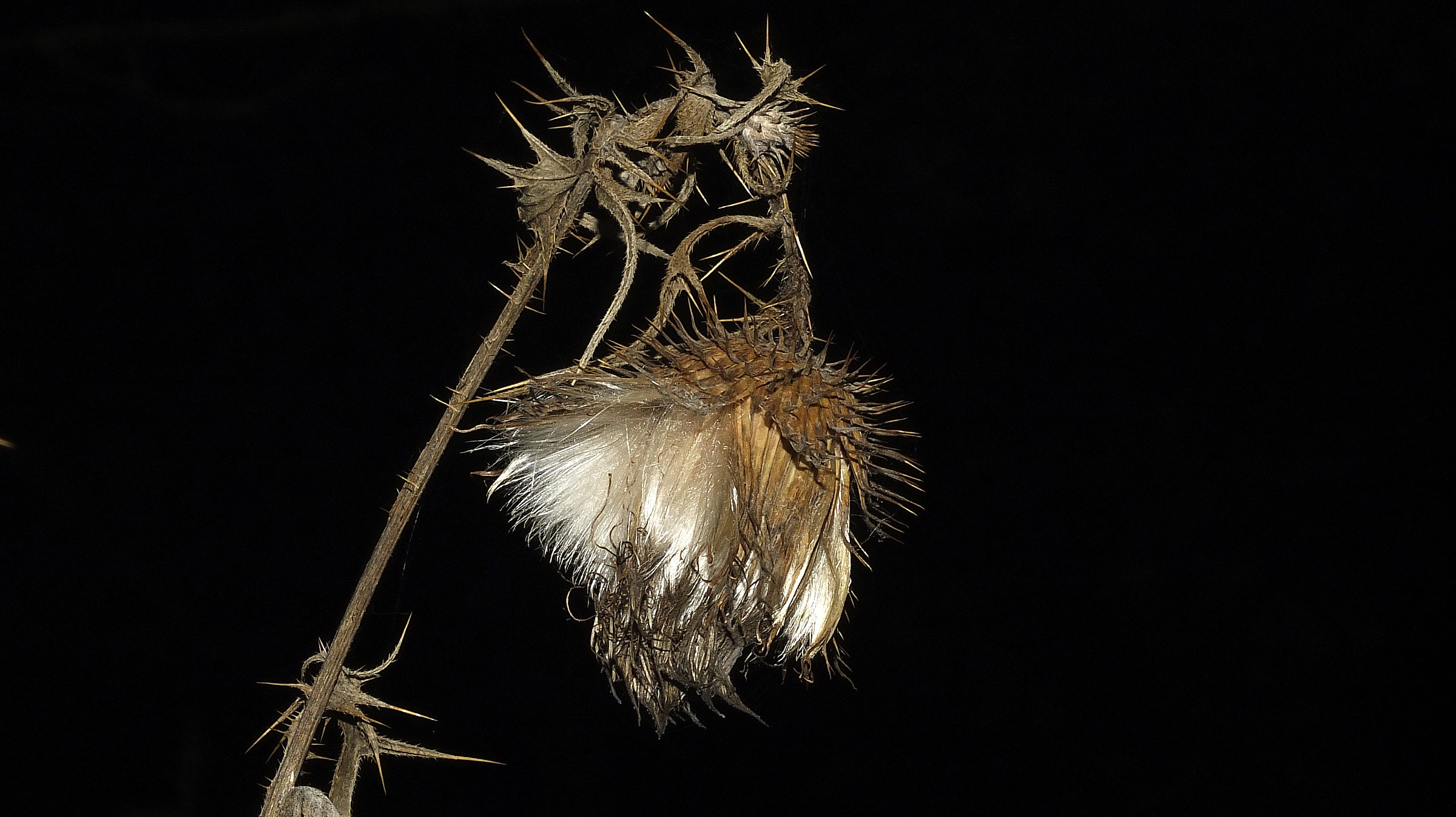 E dopo aver mangiato...