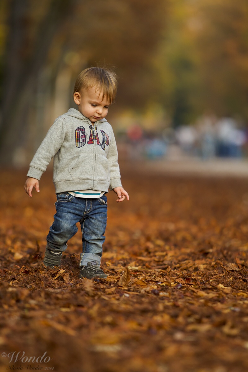 Thoughts of autumn ....