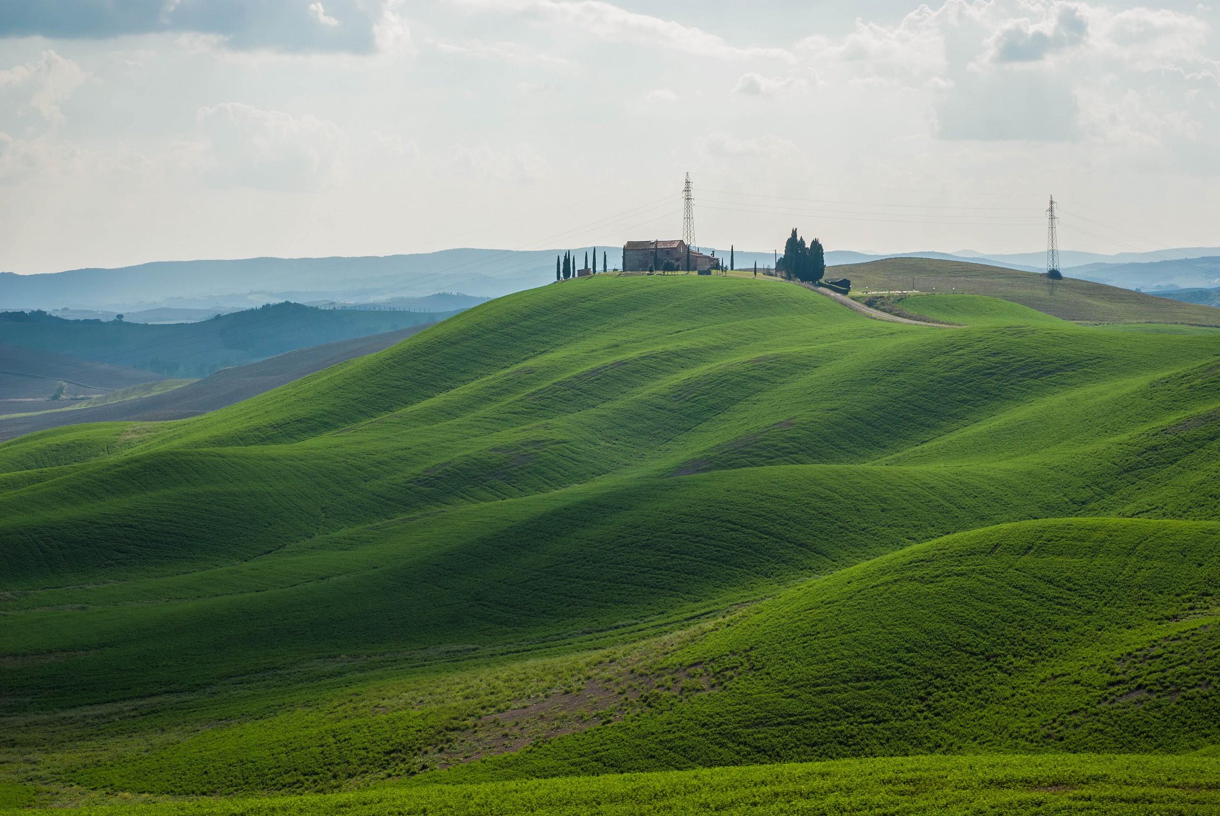 crete senesi