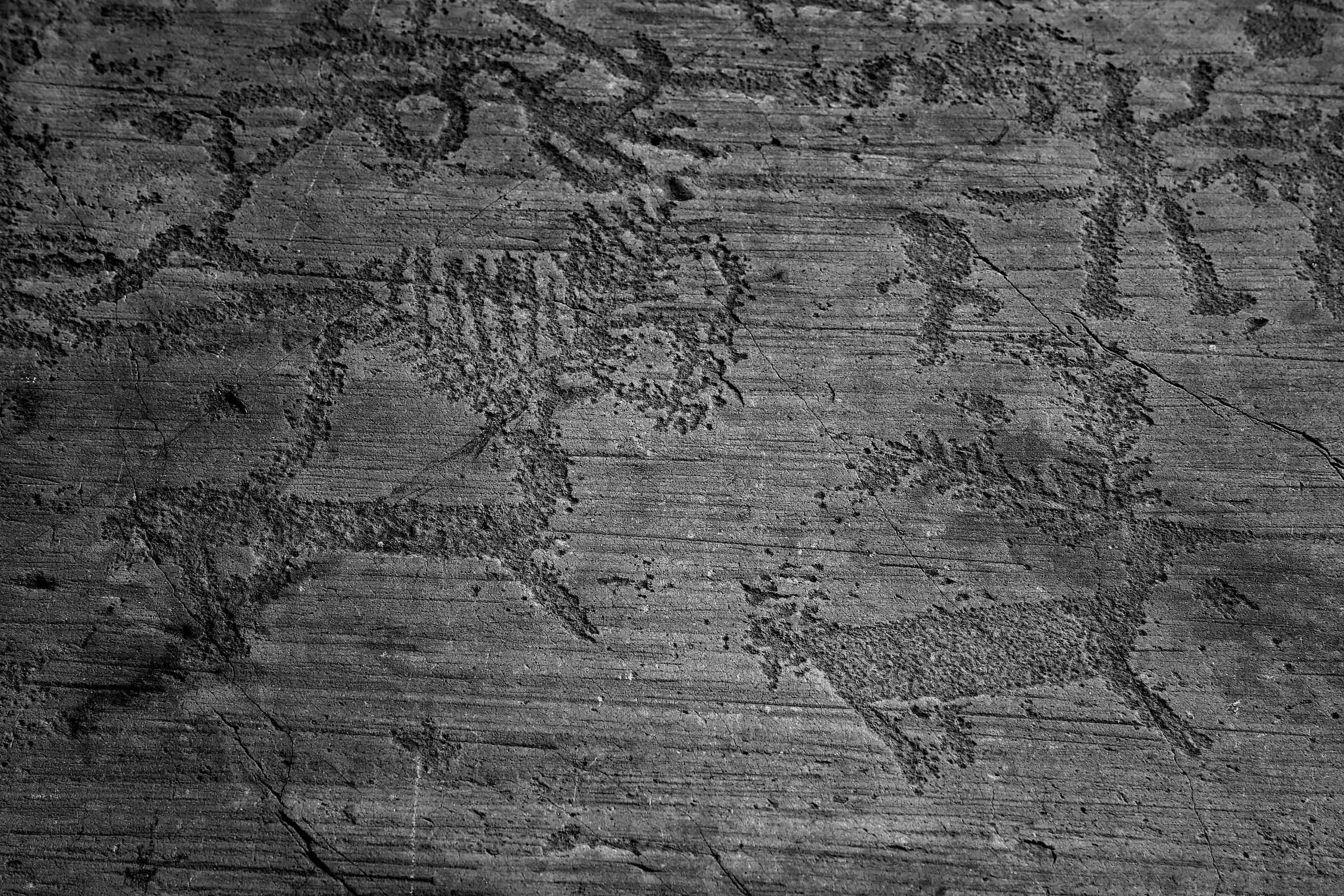 Juza Nature Photography ante