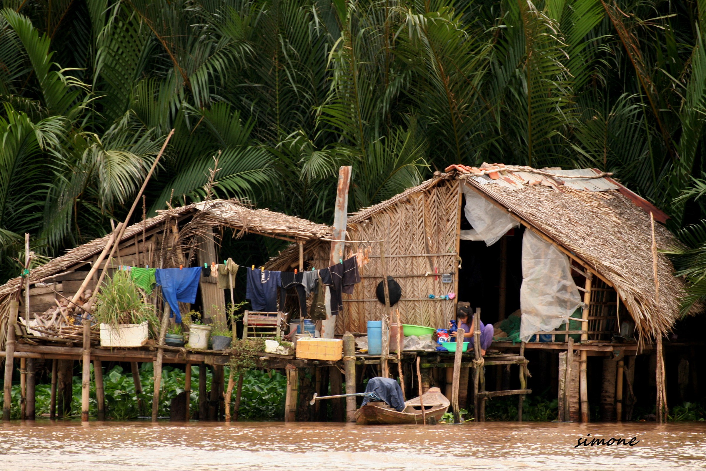 Homes on the Mekong