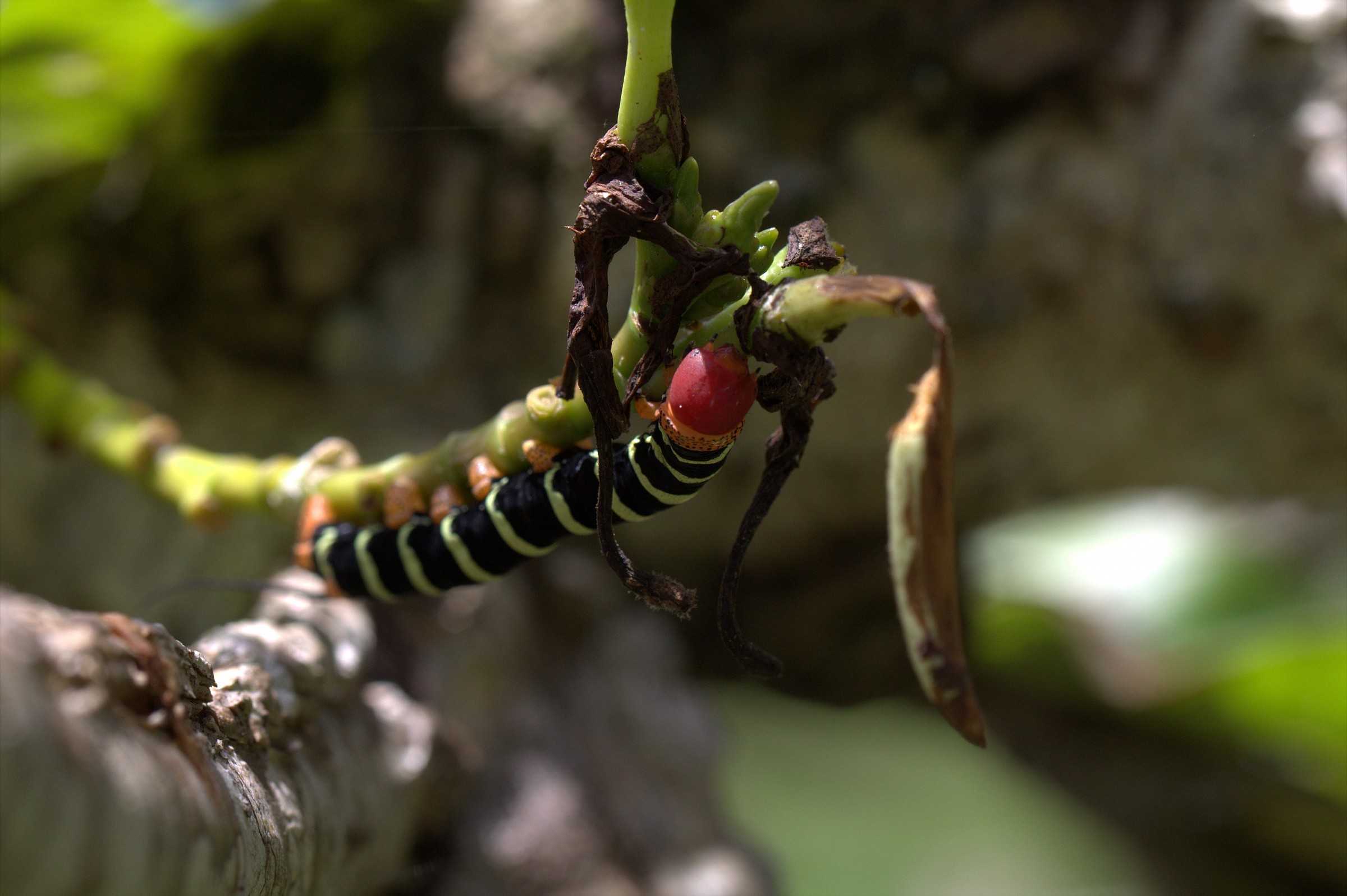 Me everything I know ... mogul !!!