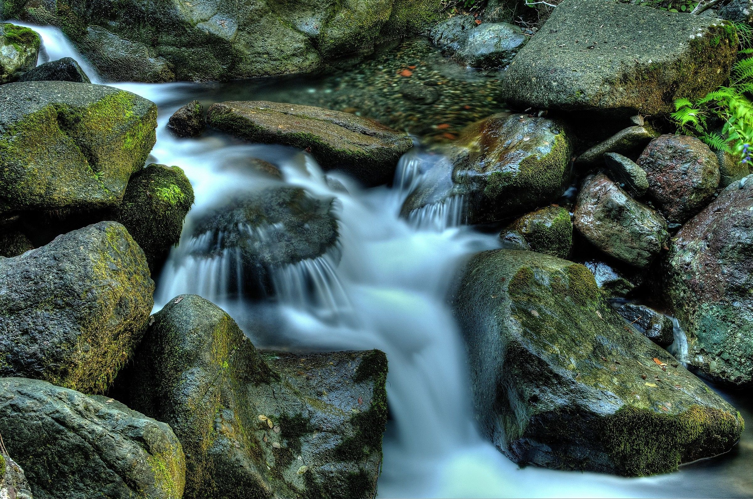 dalla cascata verso il torrente