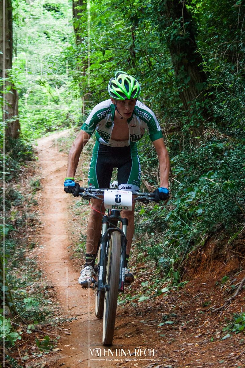 La Terre Rosse (Montello 2014)