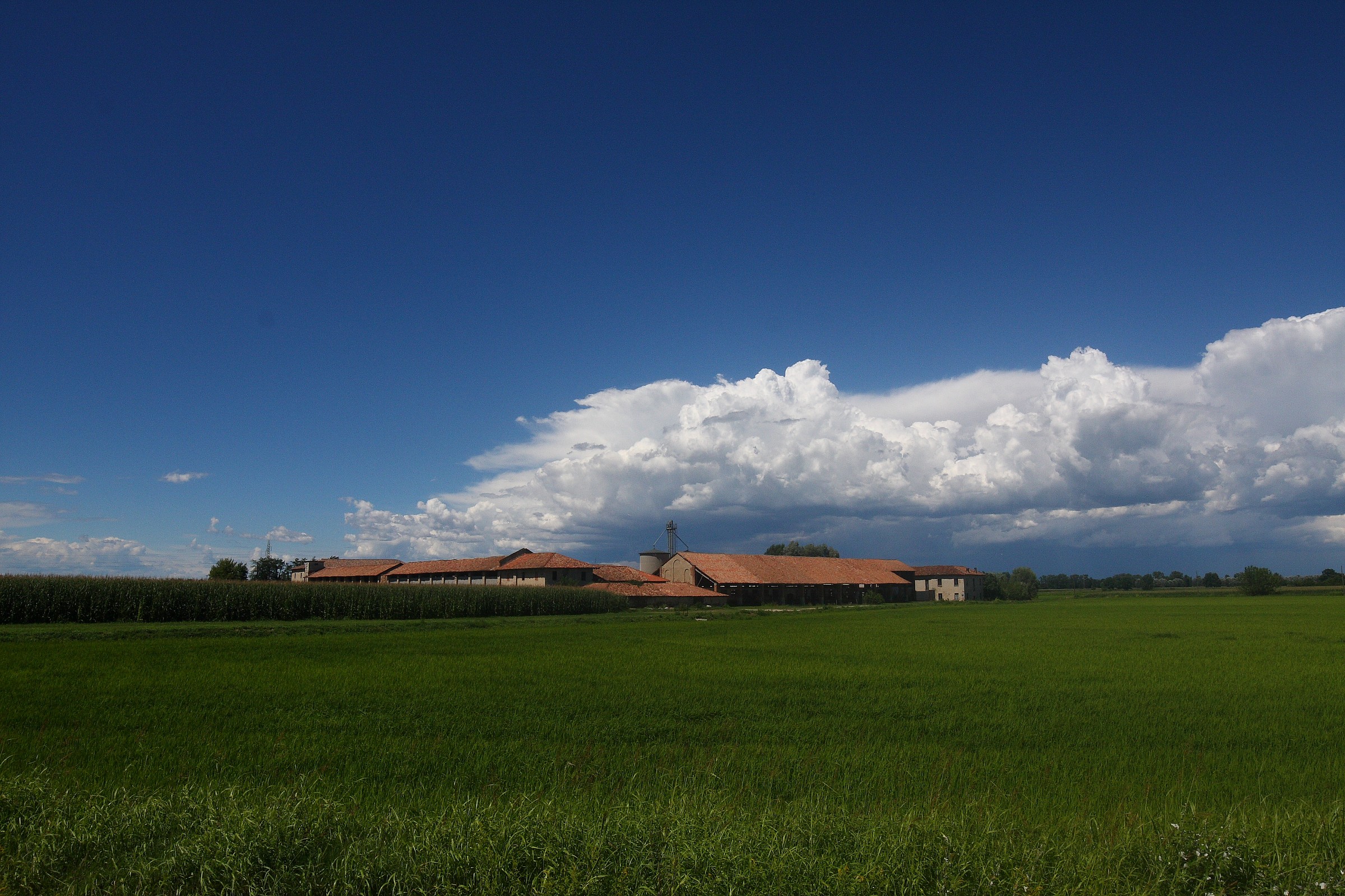 Cascina, visibille the tang. West