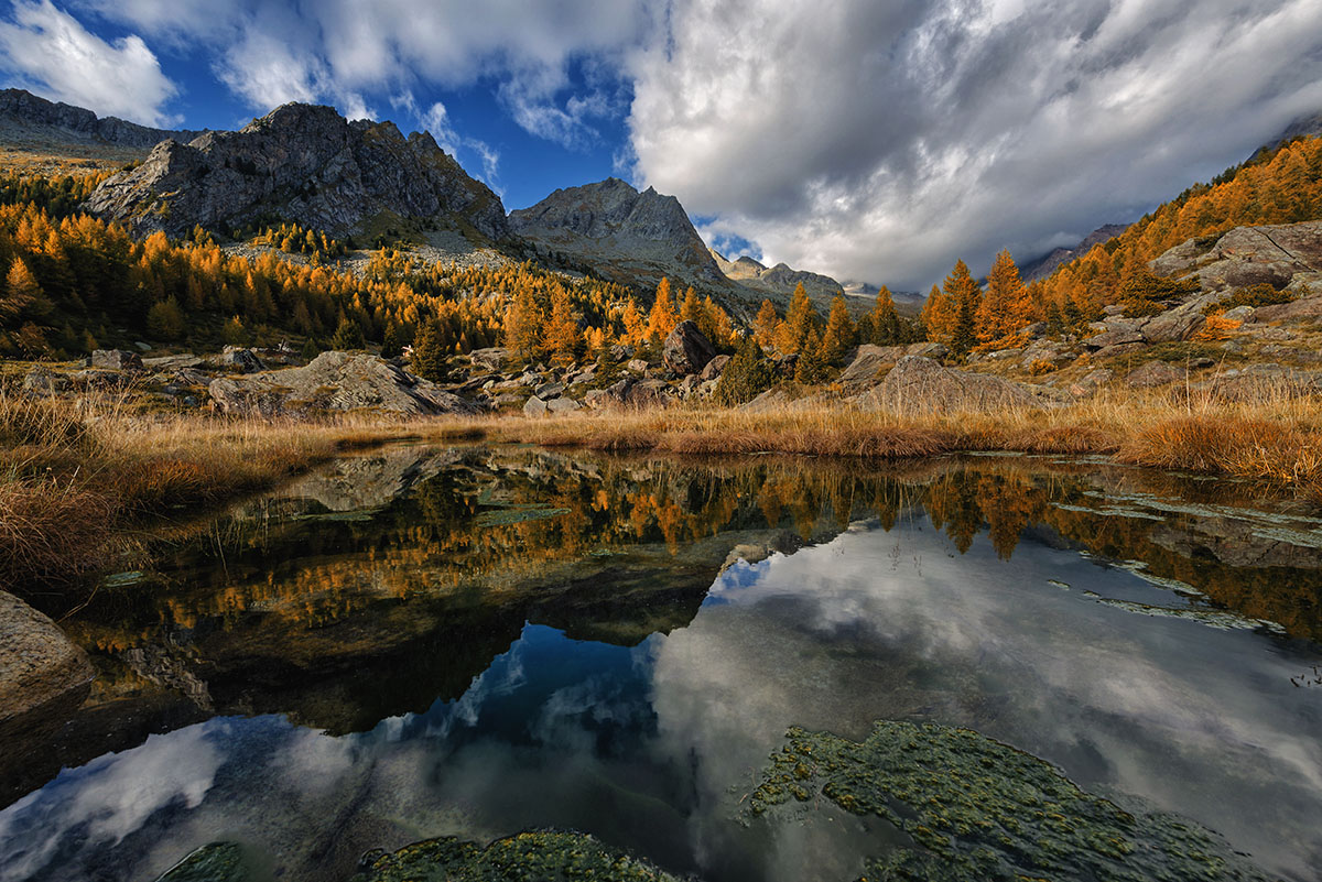 Predarossa the mirror