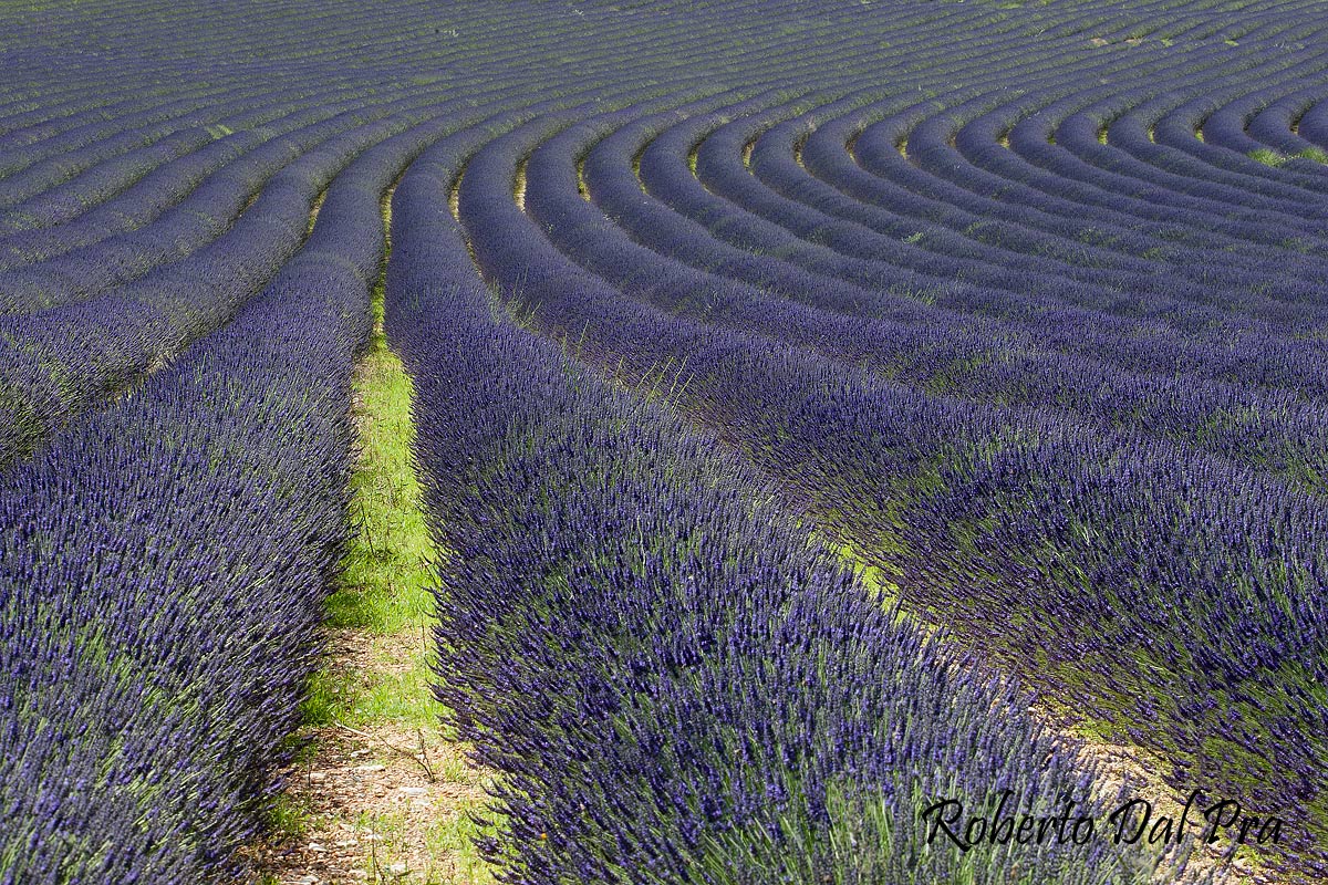 Geometries of Provence