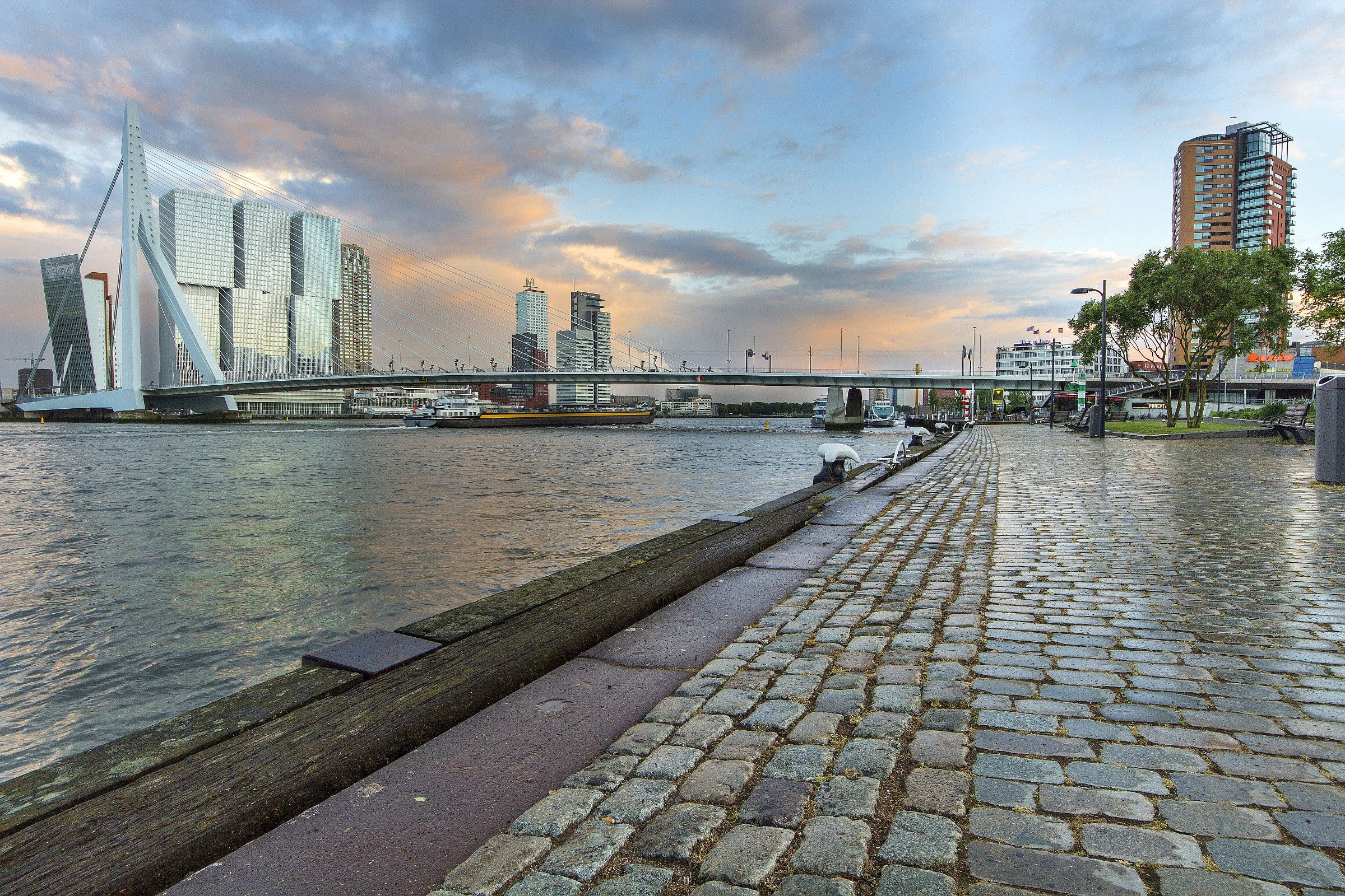 Veduta dell'Erasmusbrug ( Ponte Erasmo )
