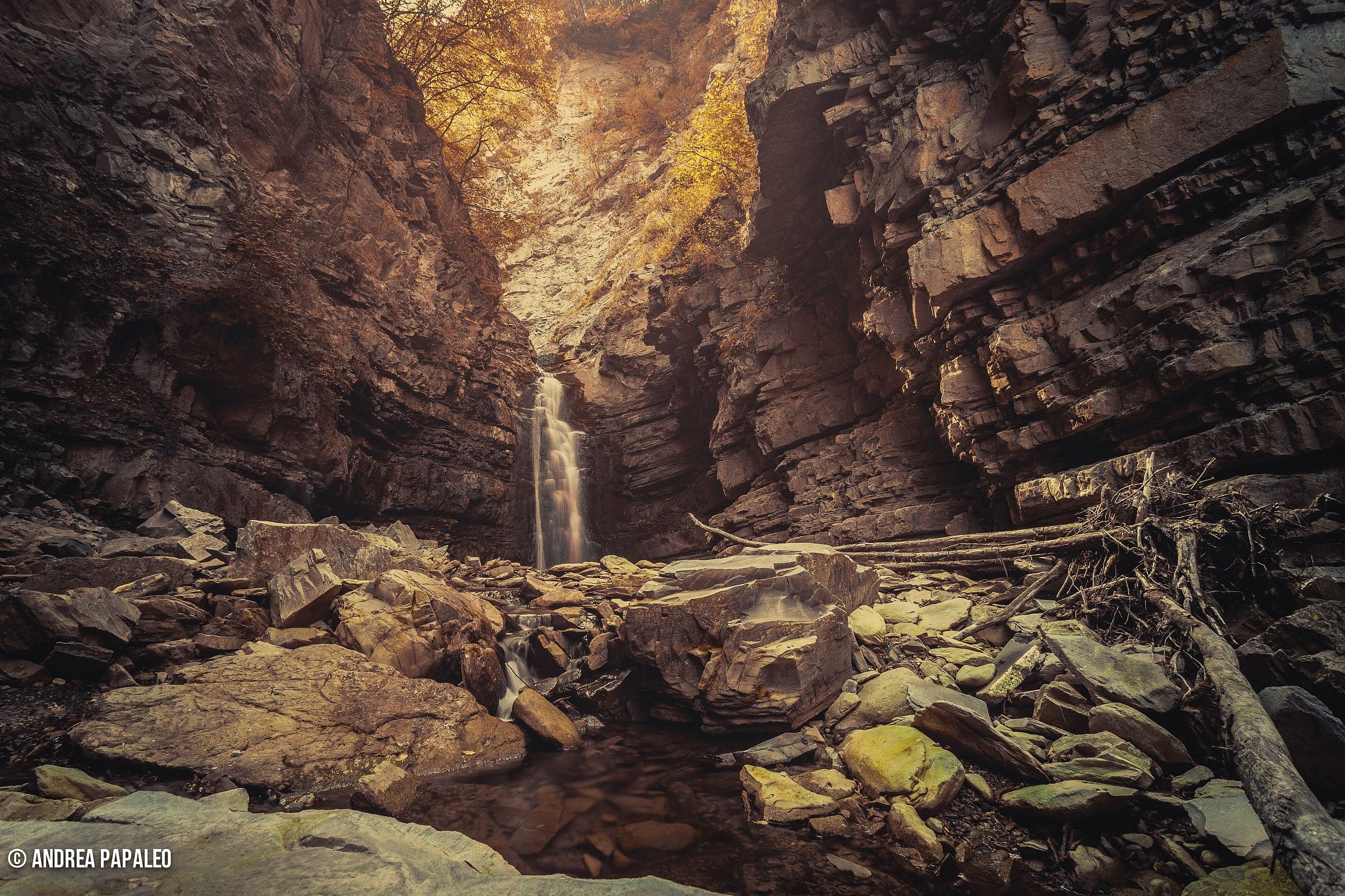 Nel Mondo di Tolkien