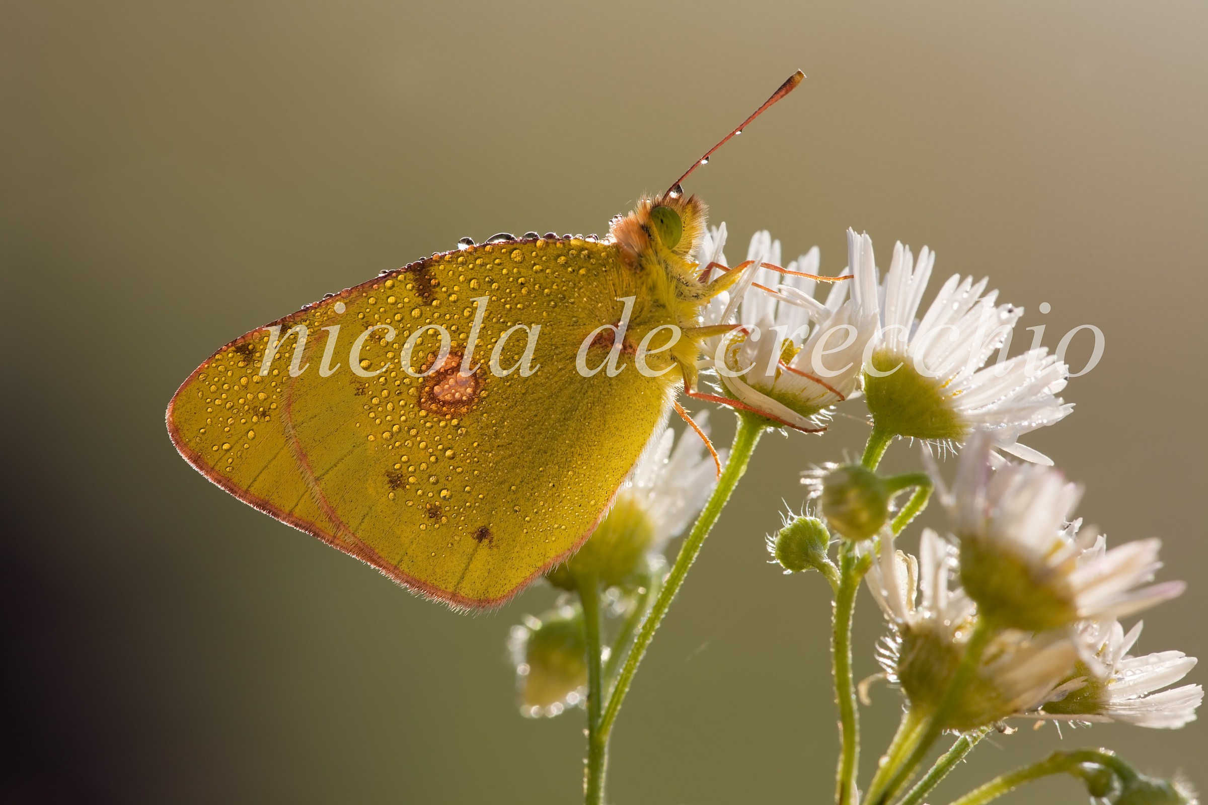 A little 'sunshine we were waiting!