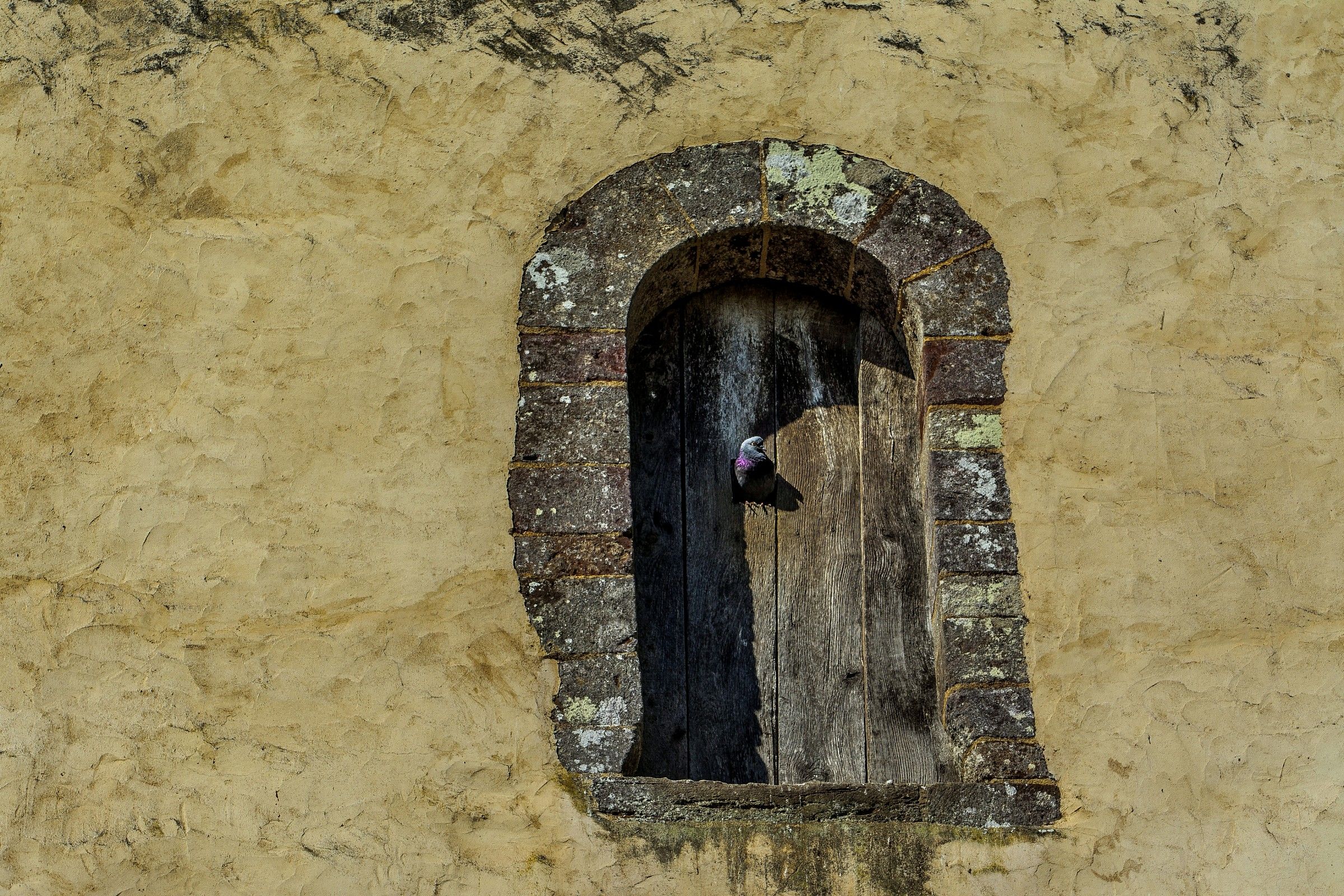 the stopgap ....................