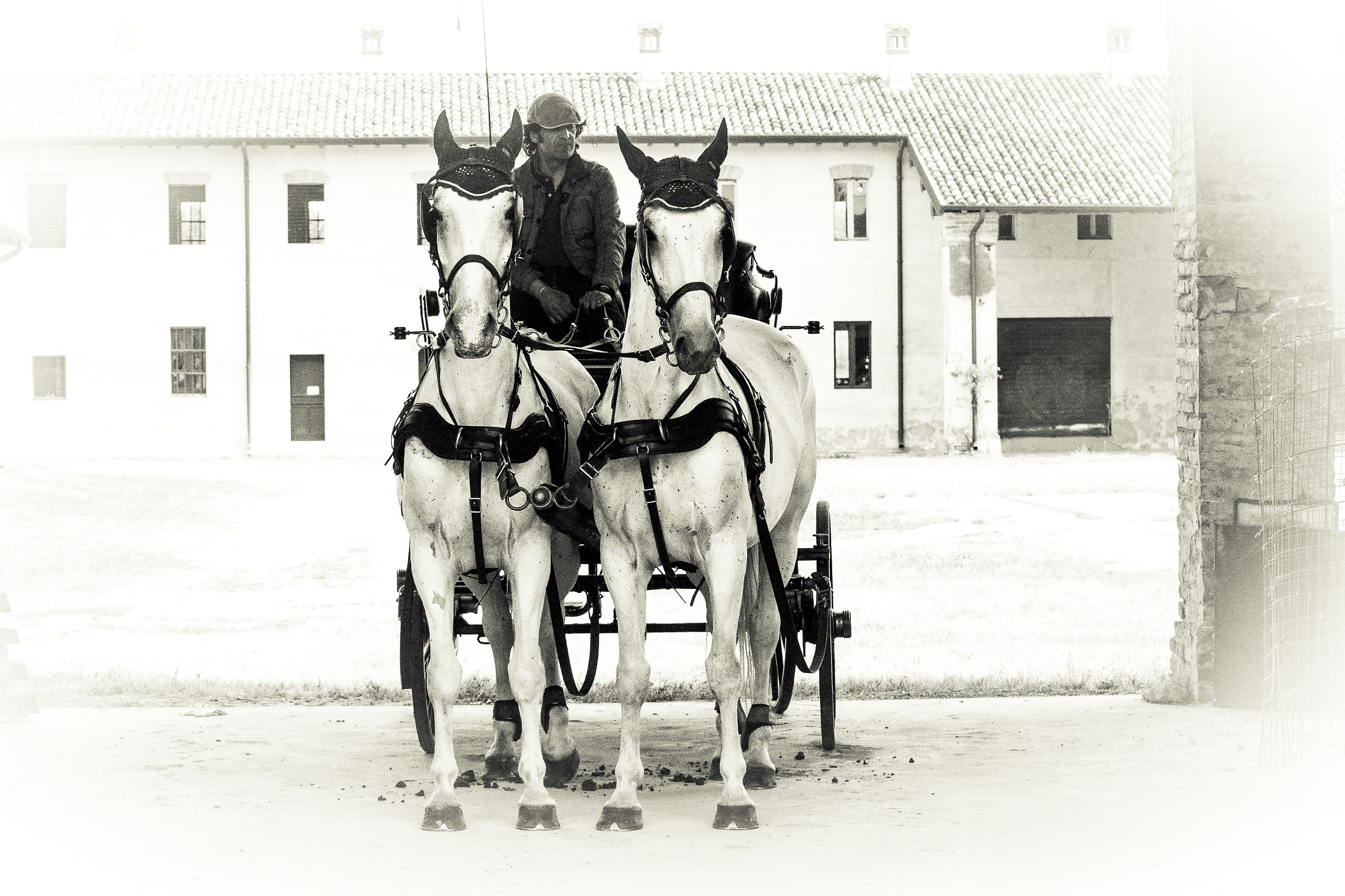 in carrozza ..si parte!!!