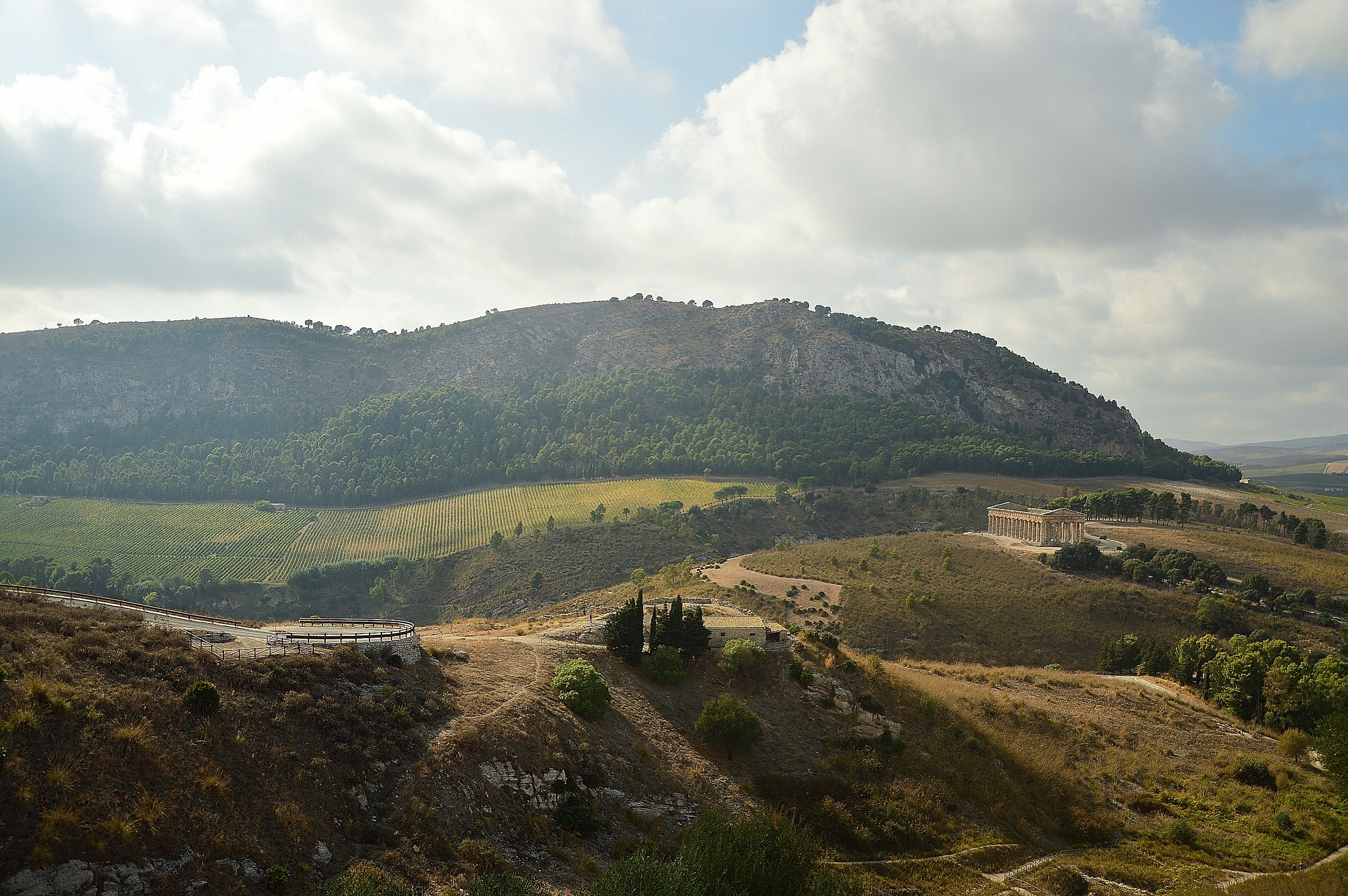 Segesta