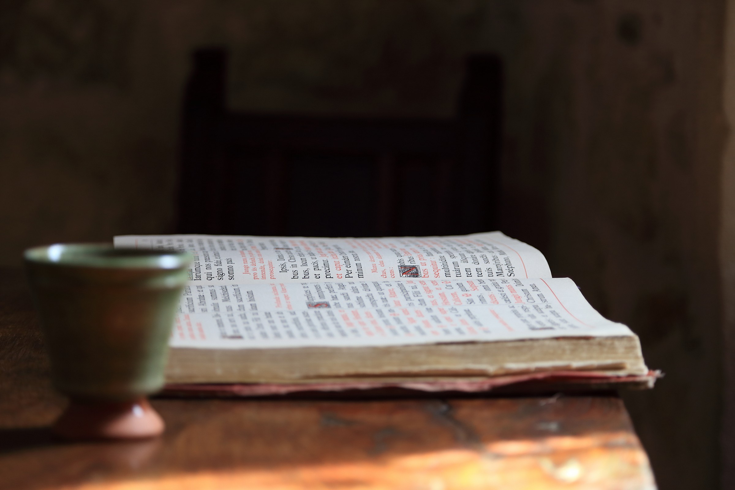 Chateau Sully sur Loire - Interior