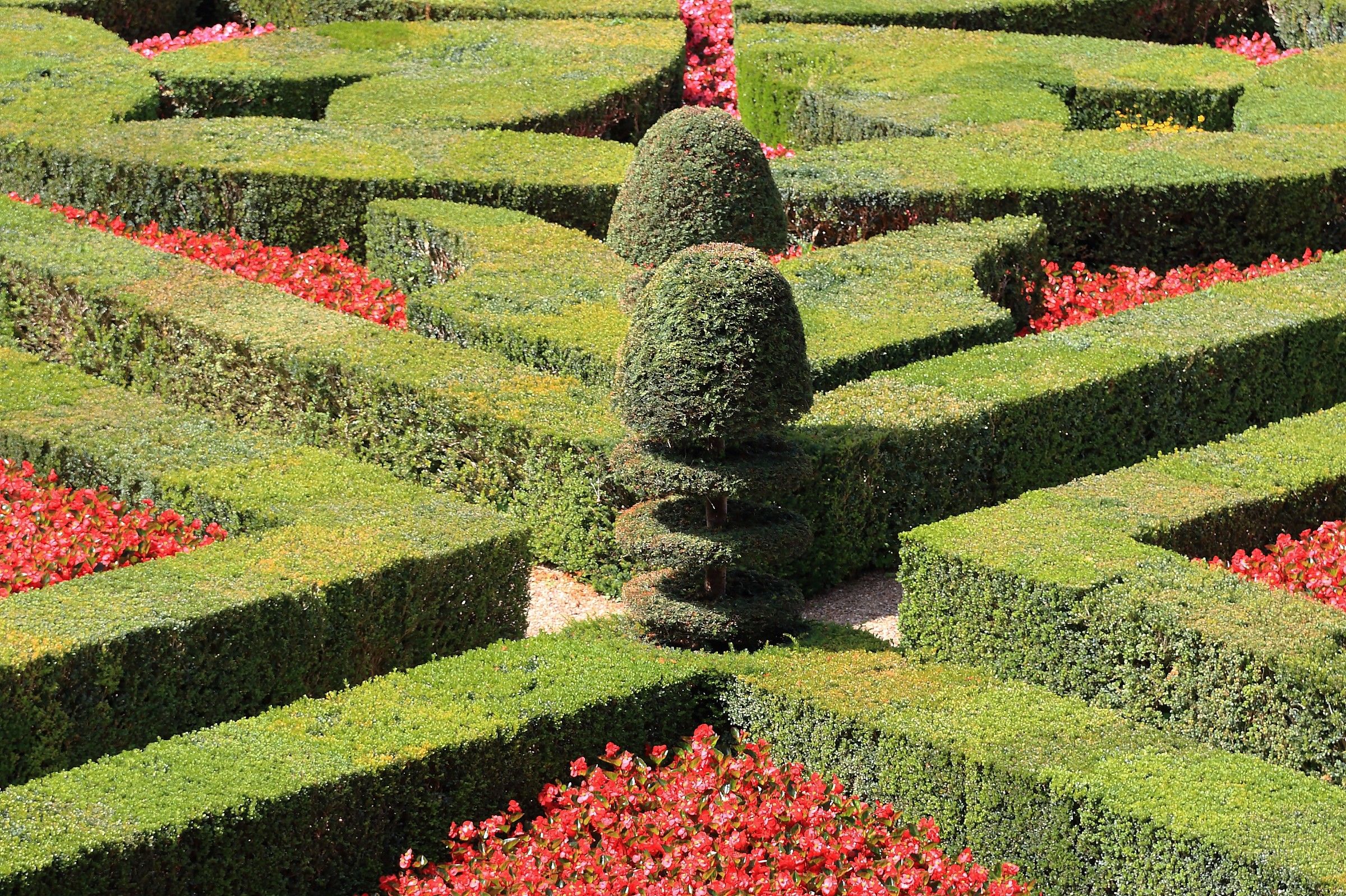 Chataeau de Villandry - The gardens