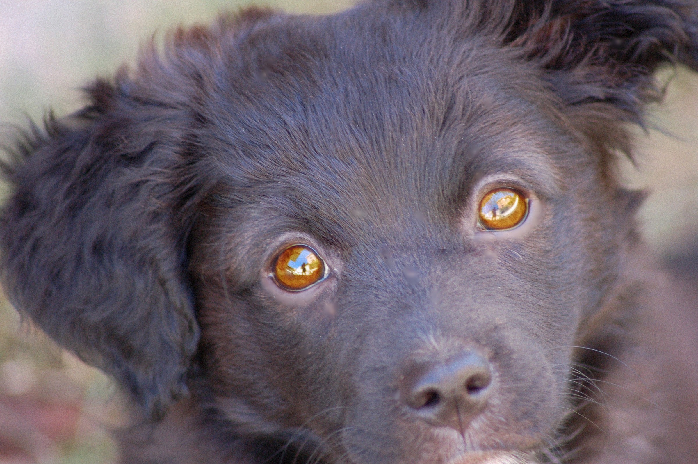 my little girl (mya)