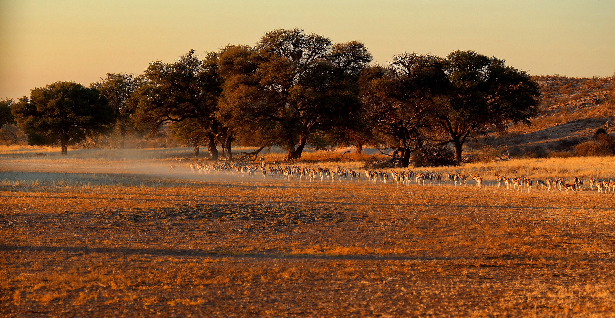 In the first morning rays