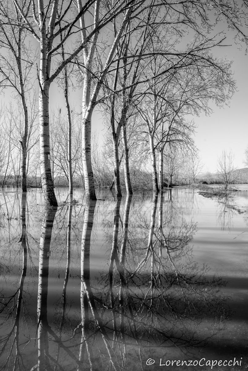 Reflections BW