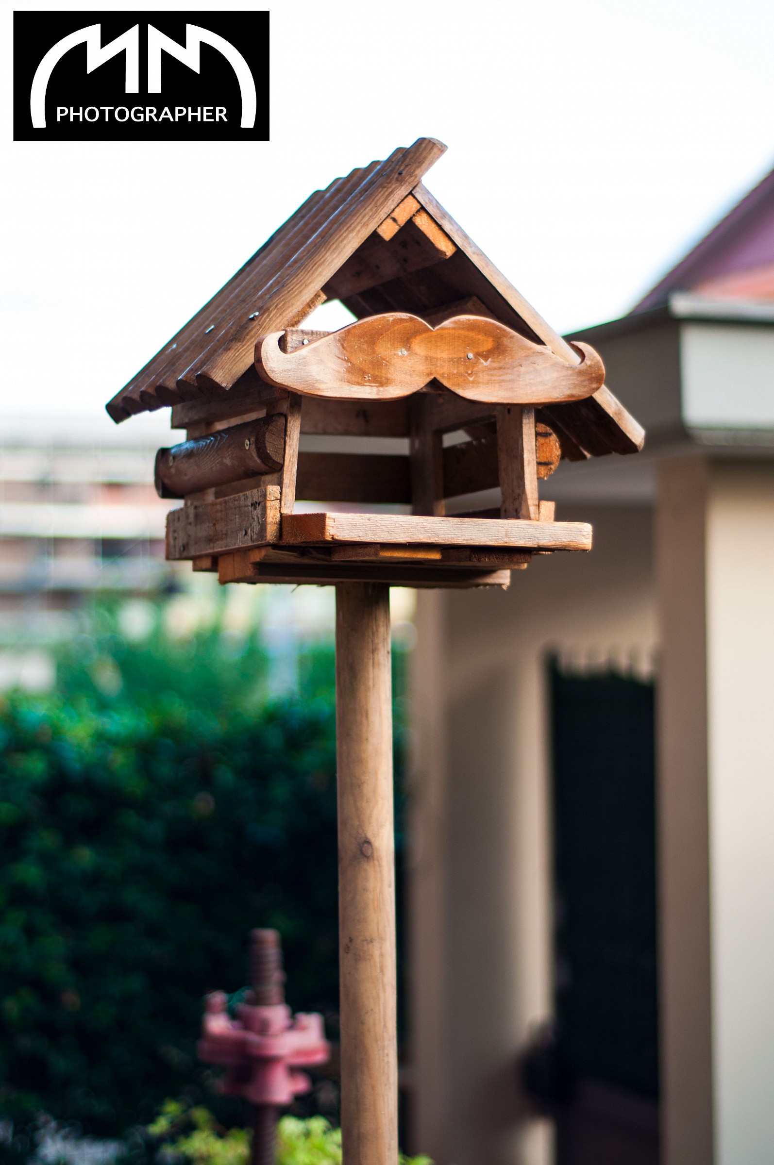 birdhouse built by me