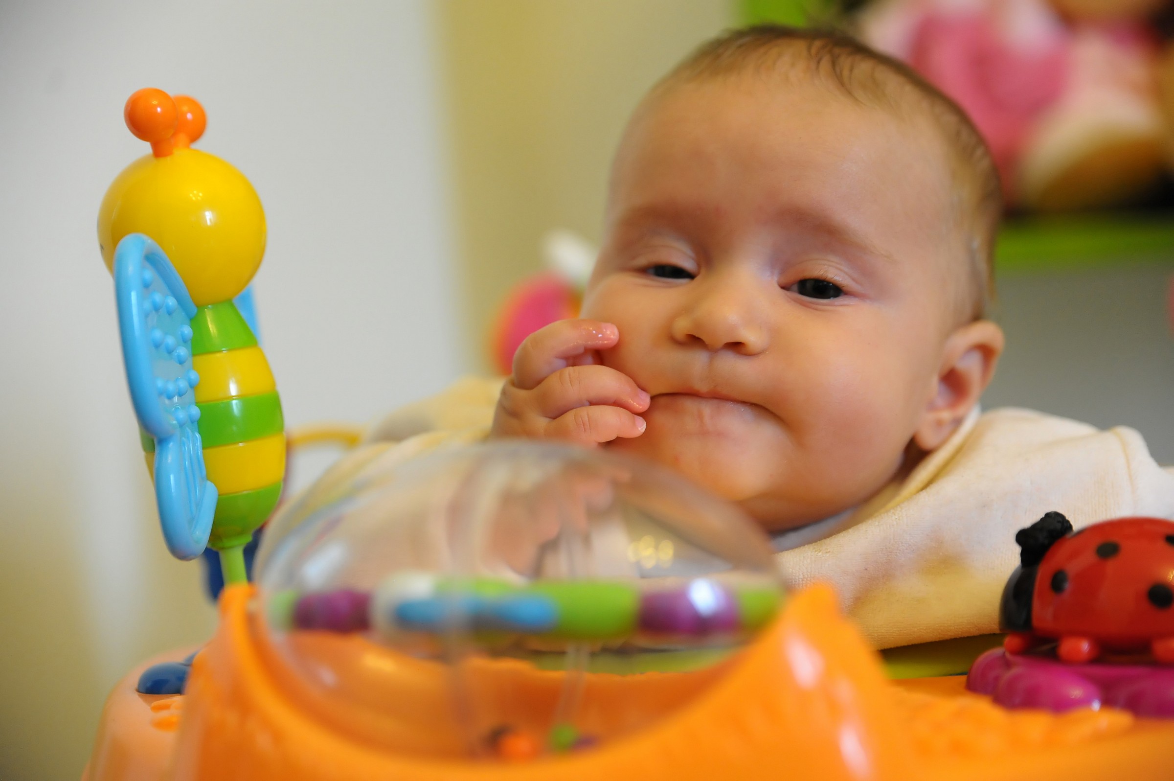 l'abbiocco sul girello