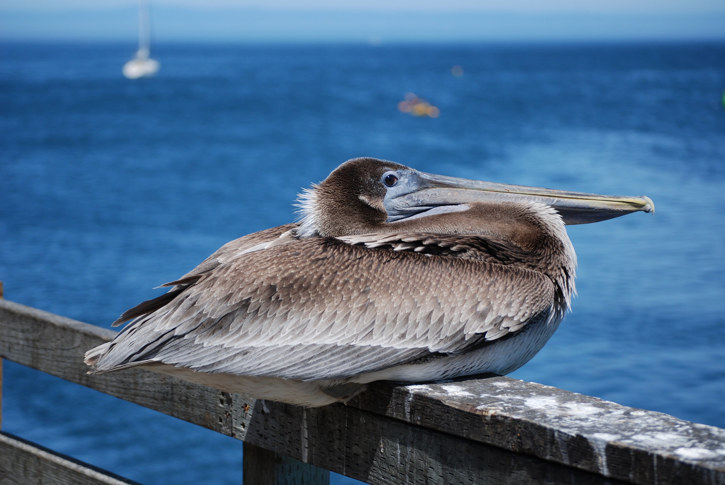 embeee che c'è da guardare???