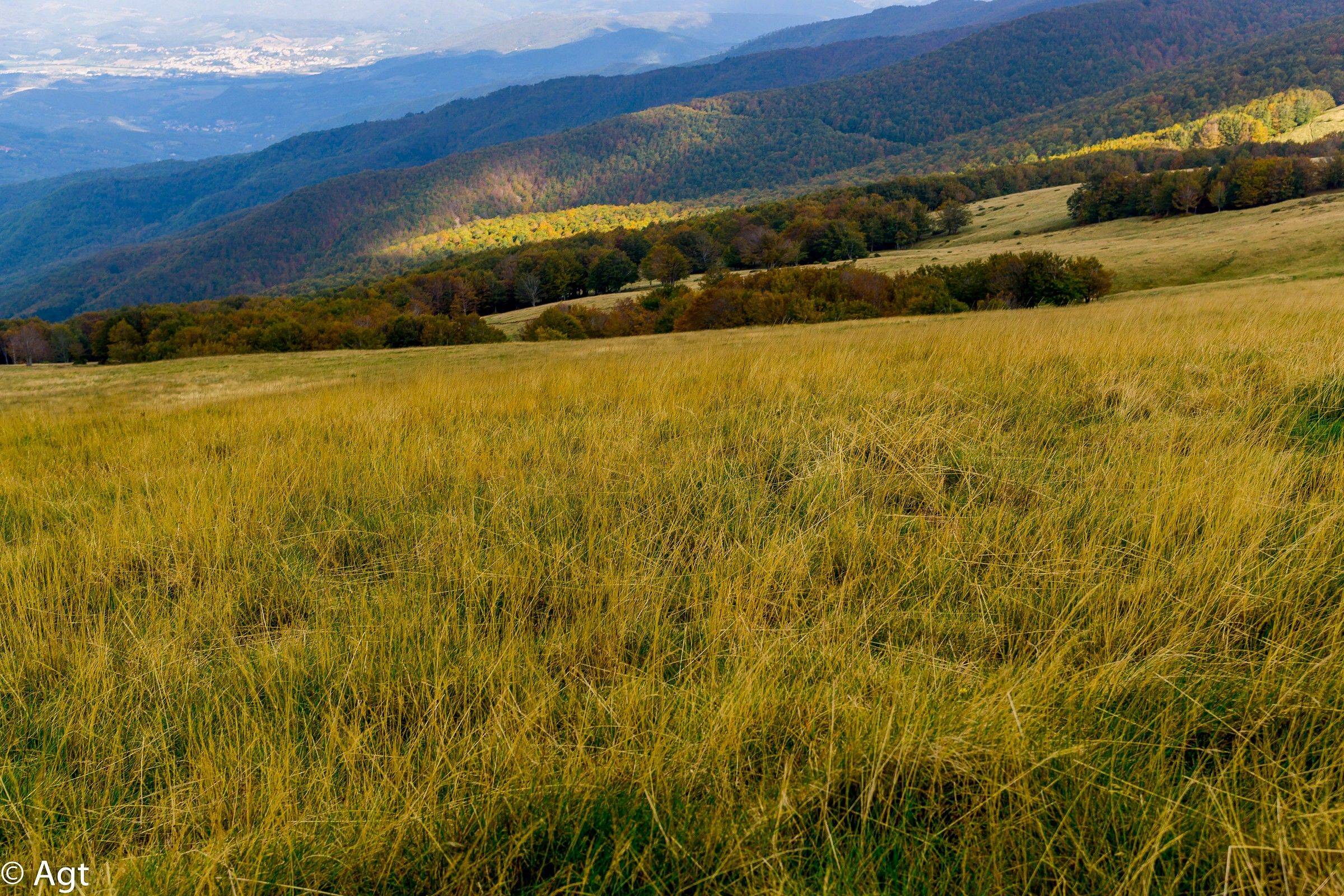 paesaggi autunnali al Pratomagno Toscana Arezzo