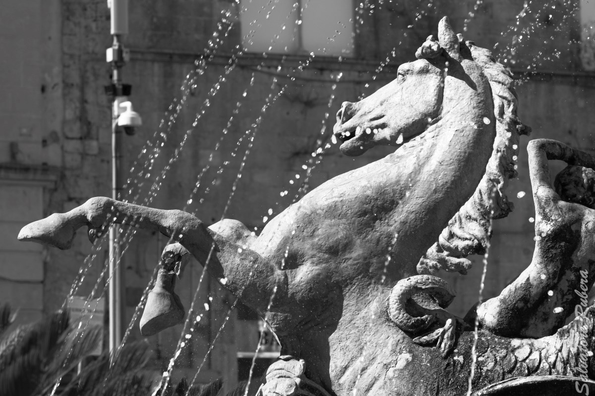 Fountain of Diana - Ortigia