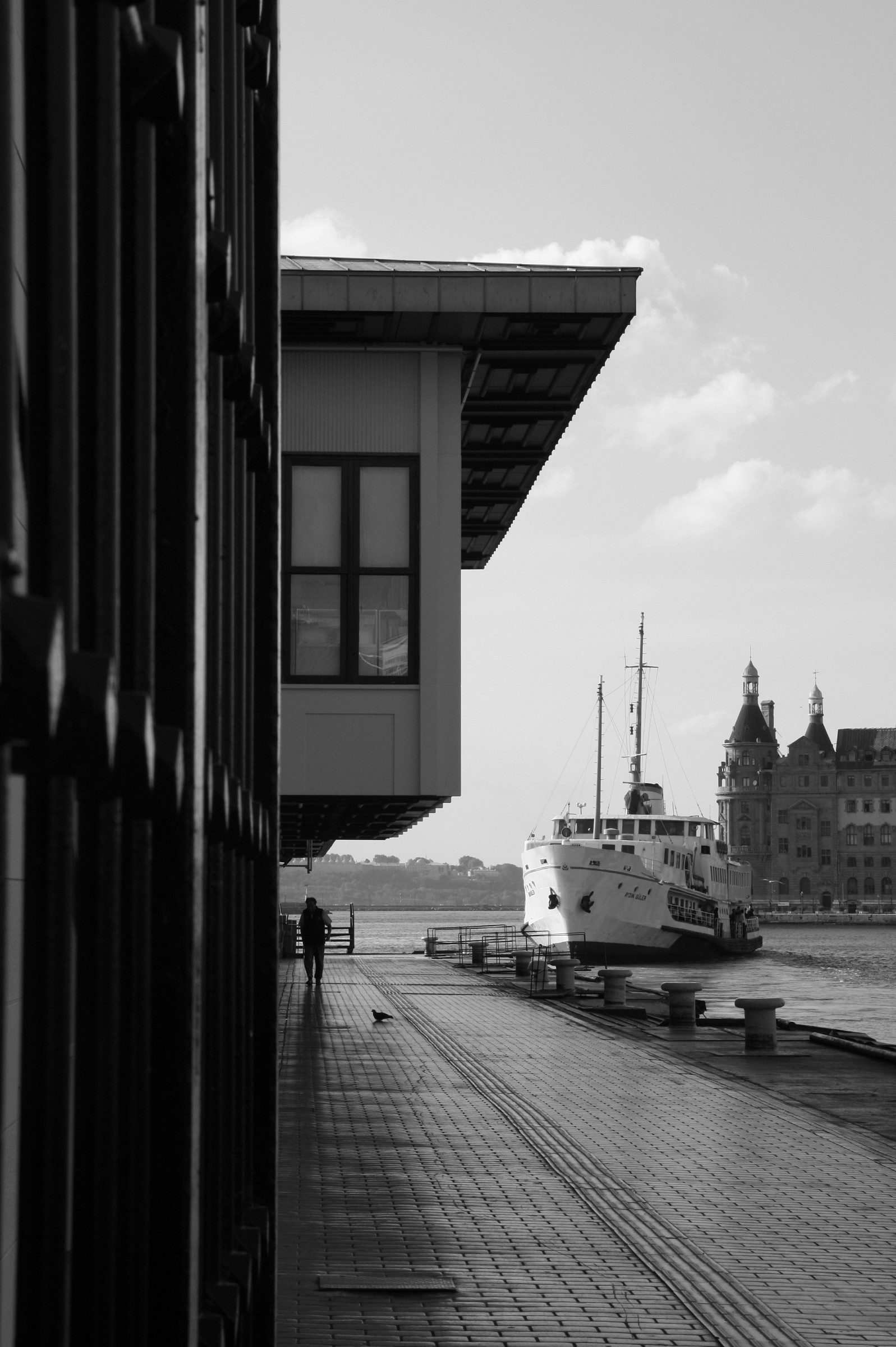 the ferry - istanbul/turkey