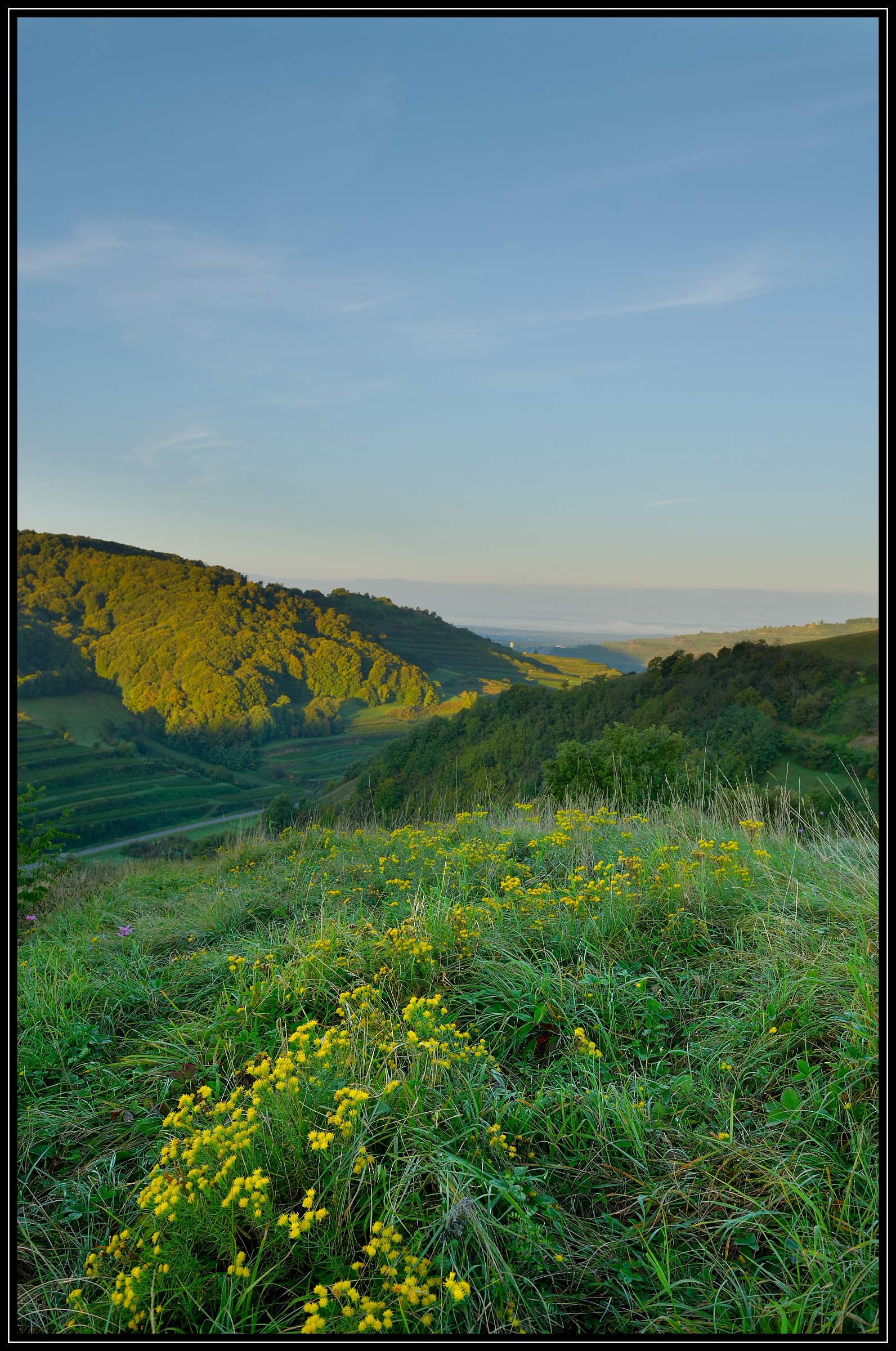 Badberg Oberbergen Keiserstuhl