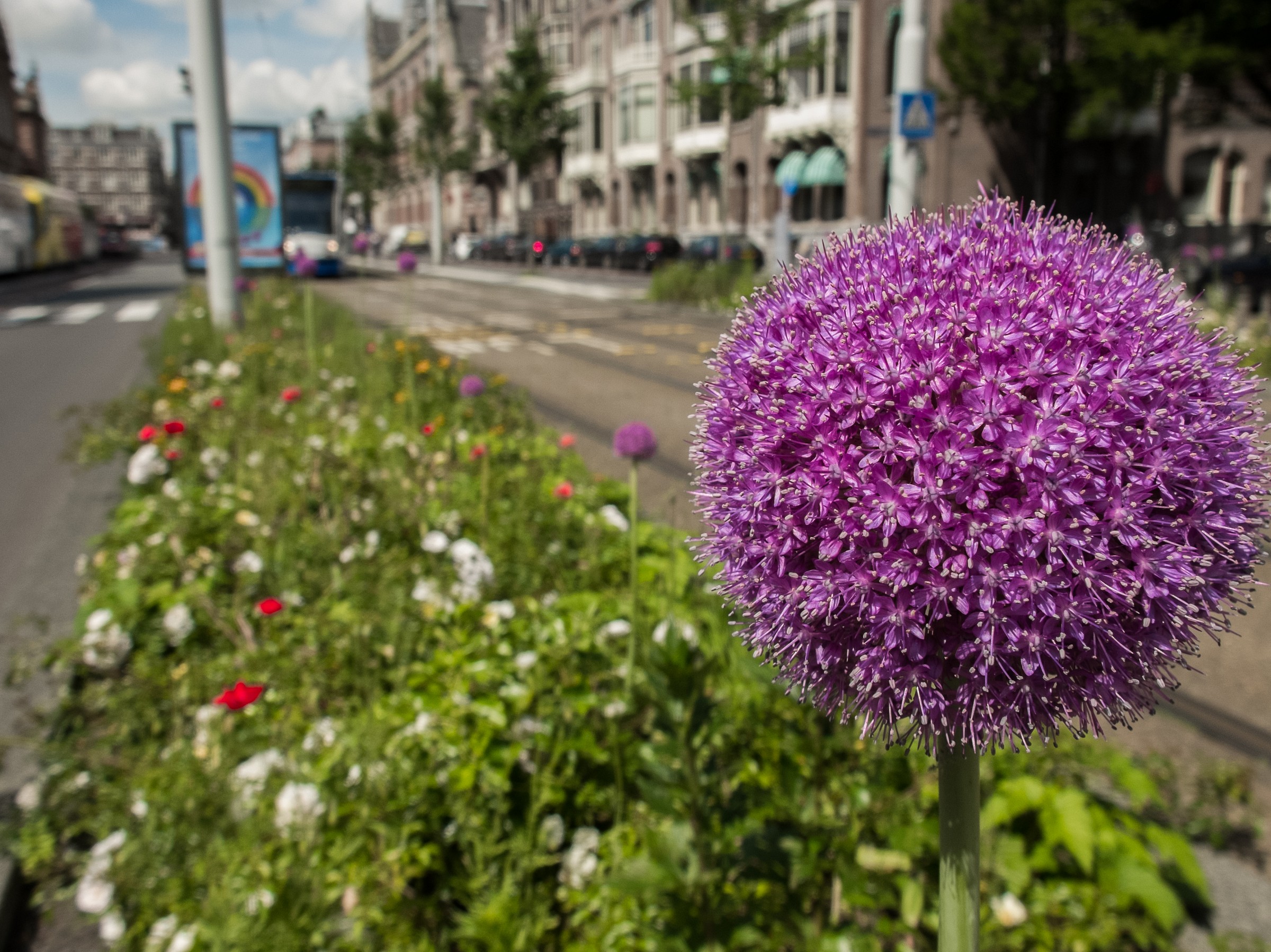 Amsterdan in the company of the Fujifilm x-20
