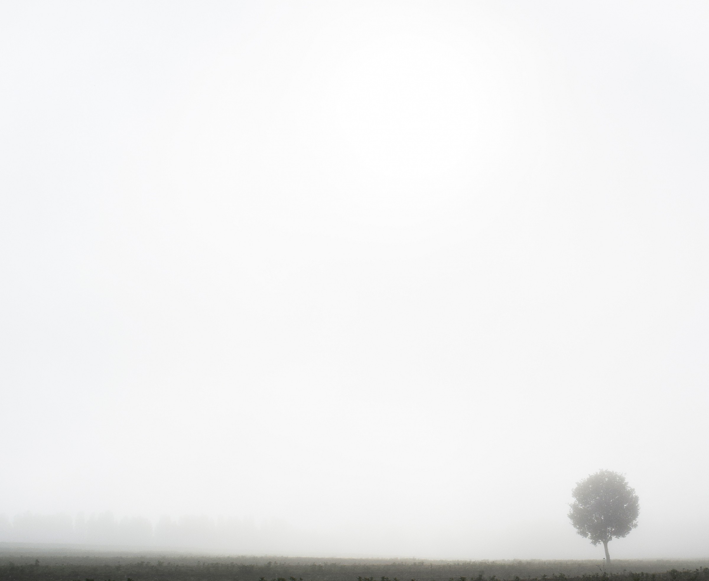 the magical mystery tour