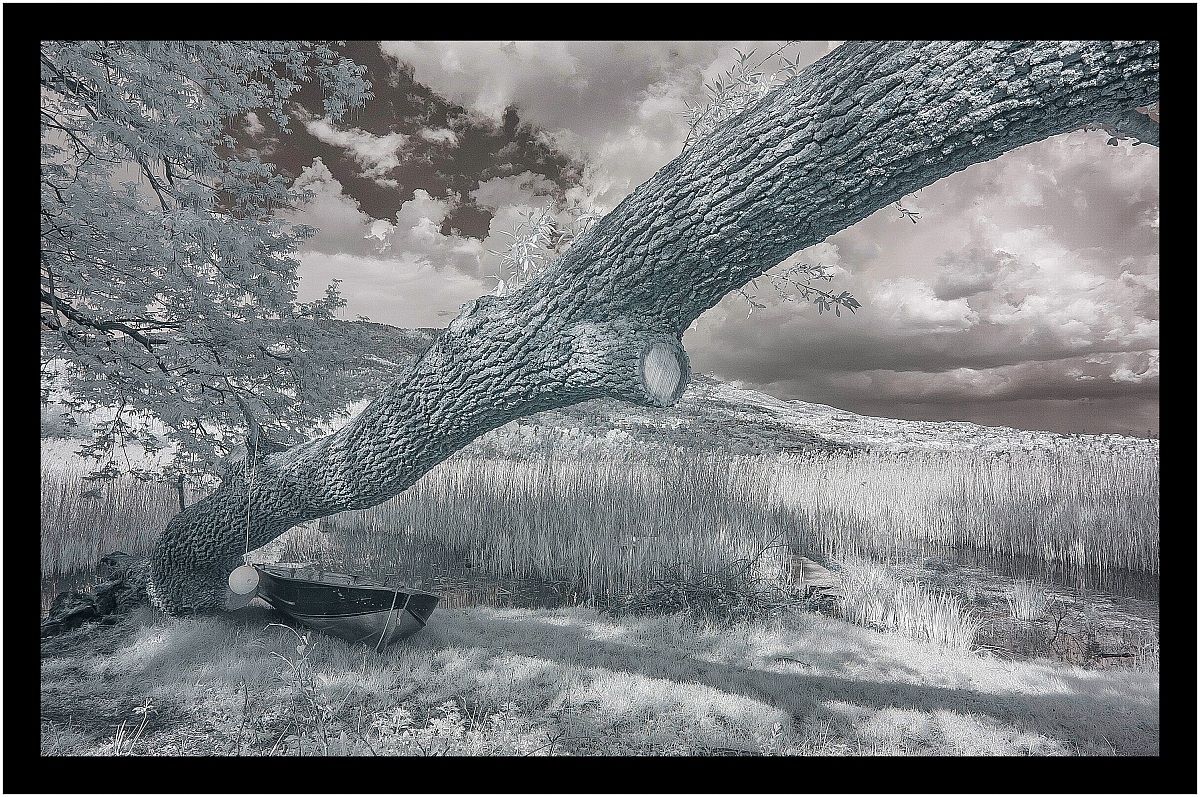 Approdo Nel Canneto..   (i.r.)