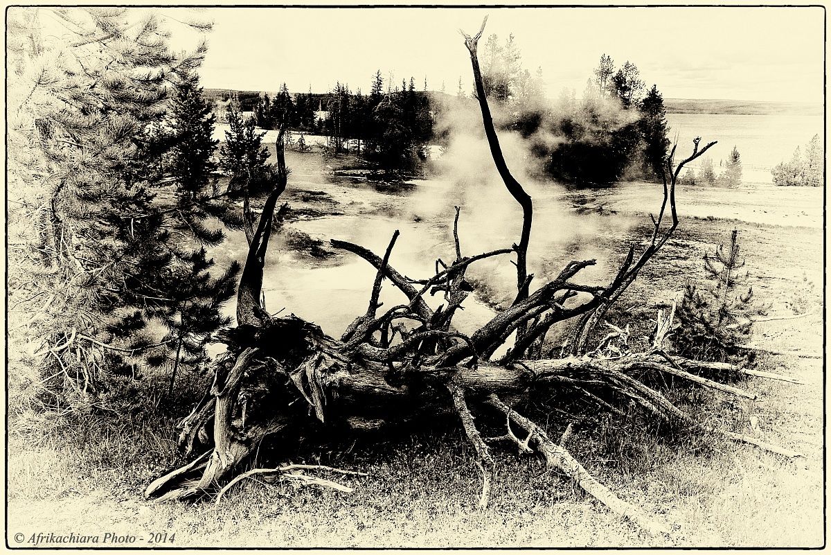 USA - Yellowstone NP