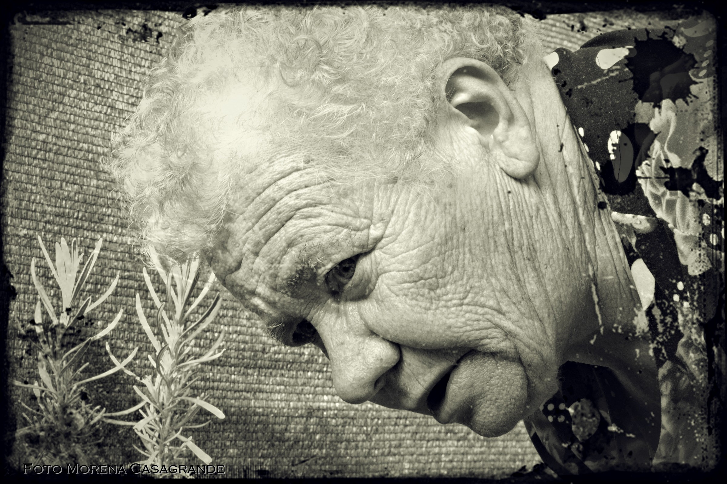 Attenzione ai dettagli