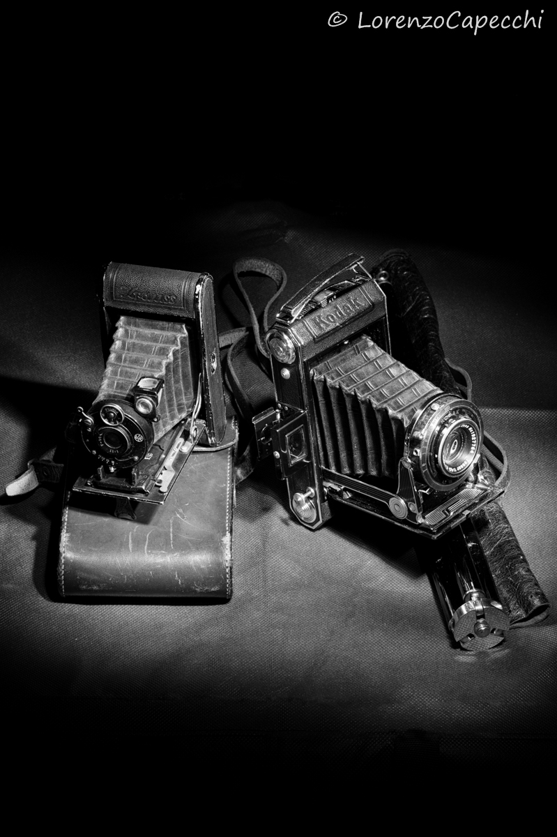 Krauss and Kodak Cameras Bellows