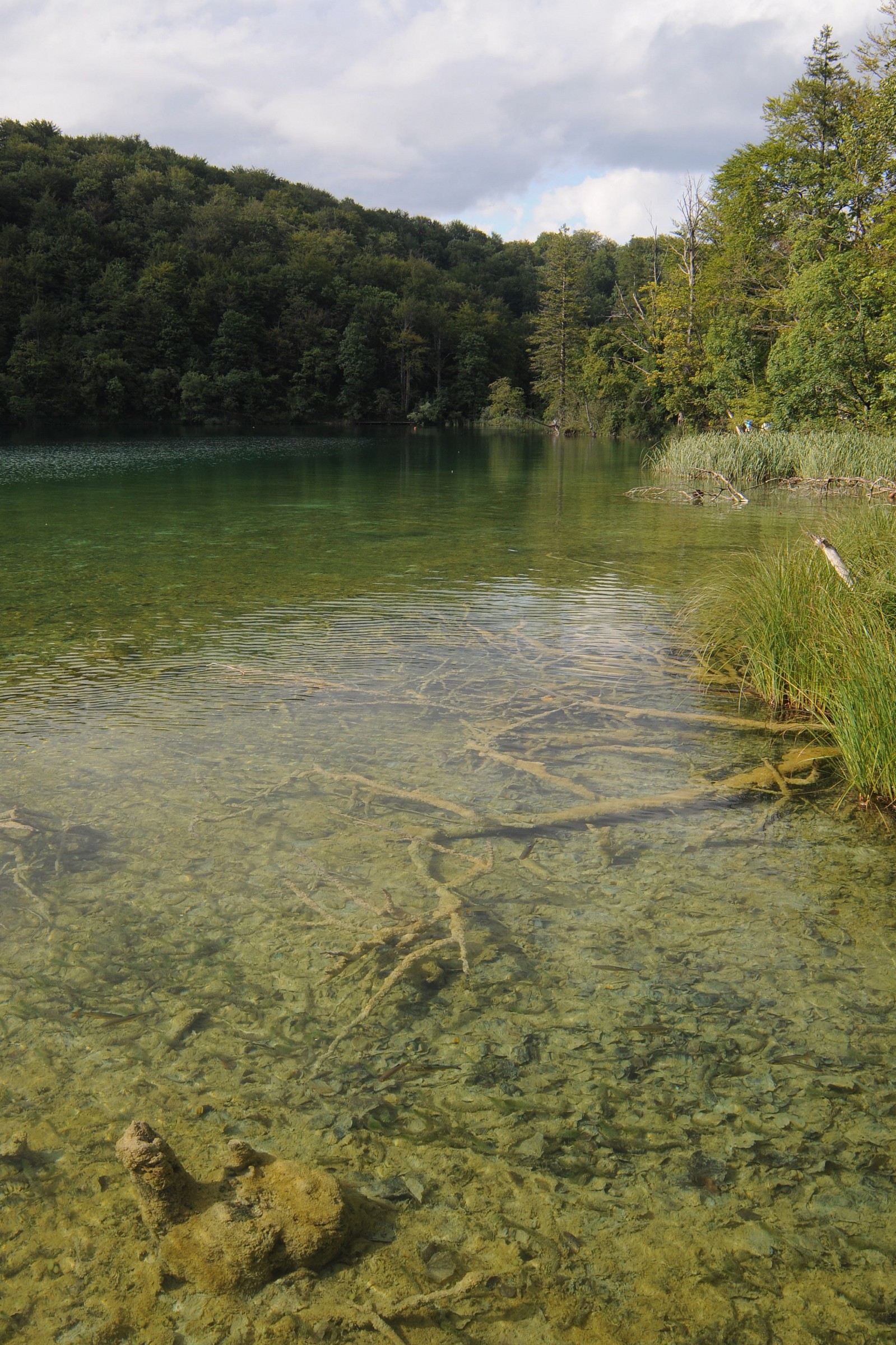 Laghi di Plitvice