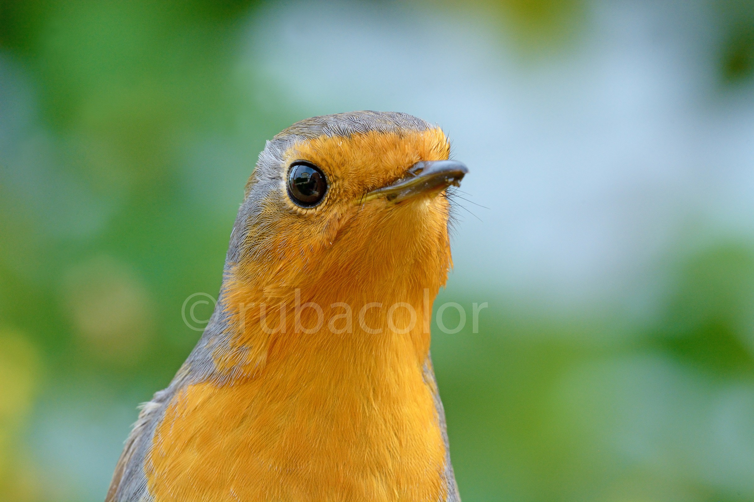 The look of innocence