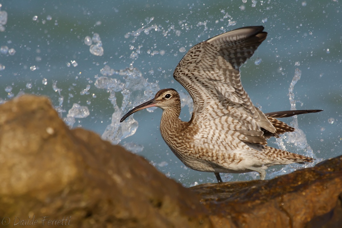 The arrival of a wave ...
