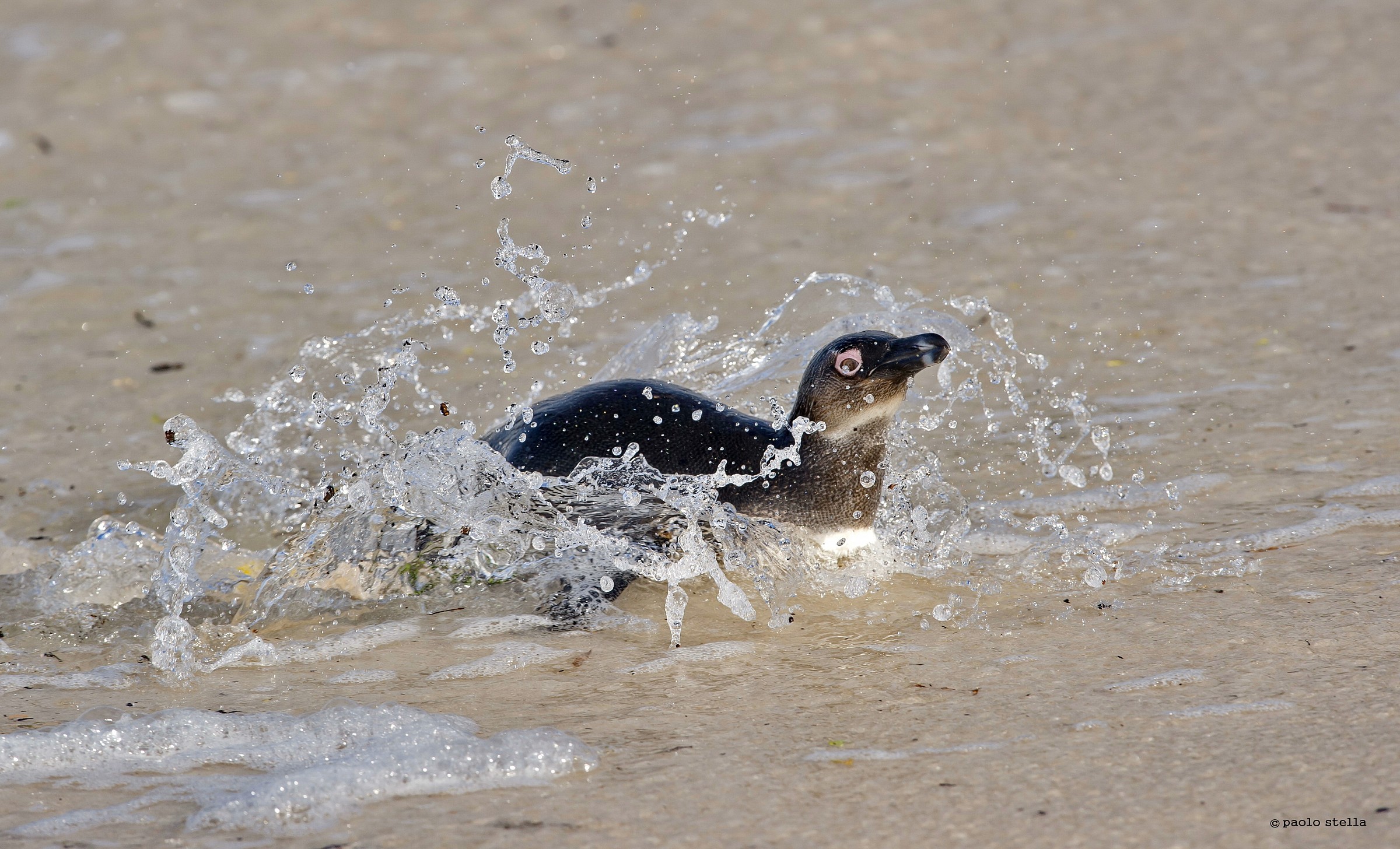 return on the shoreline