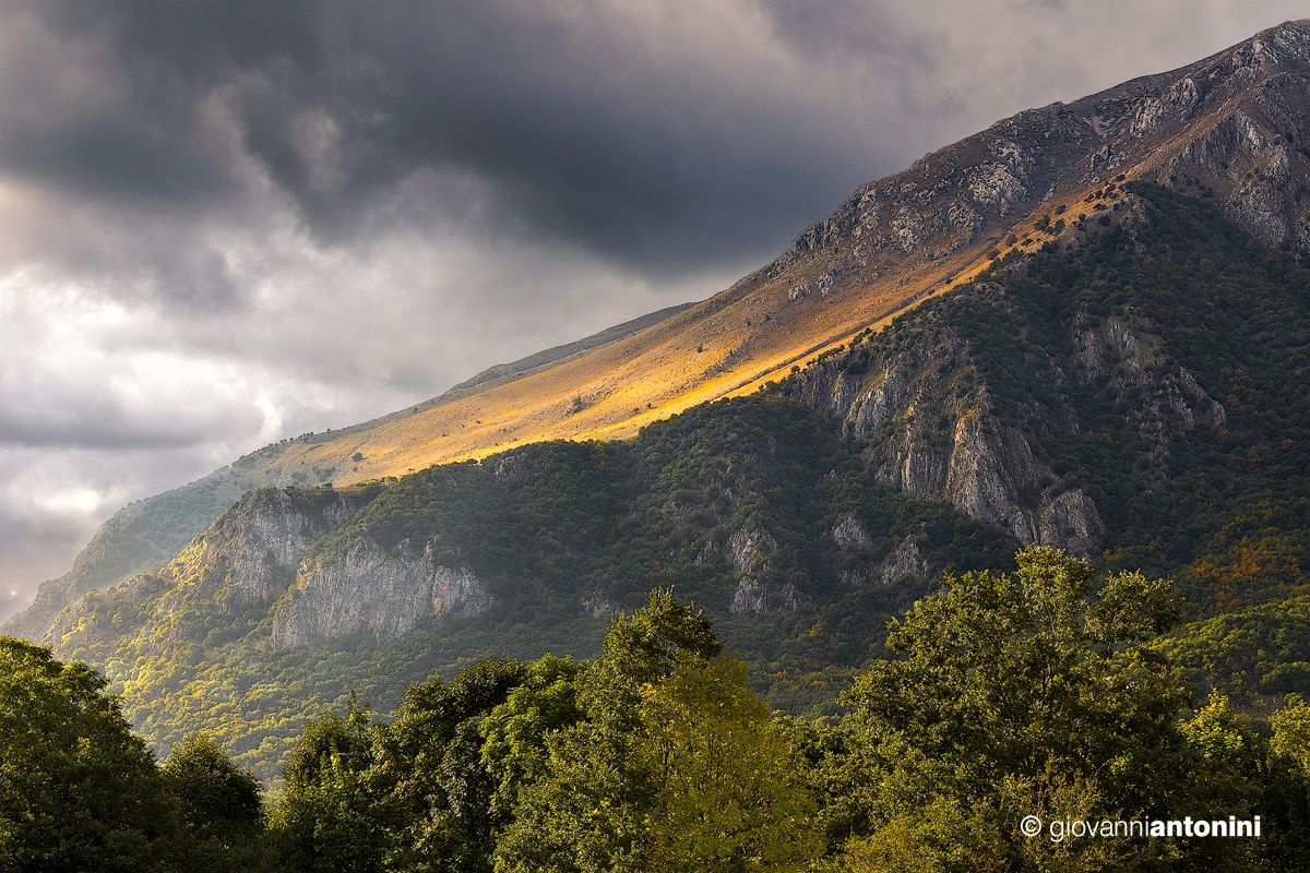 Splashes of rays ...