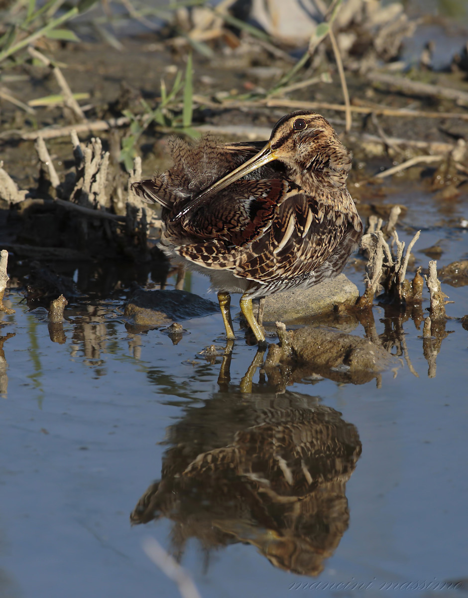 waiting for the queue is not aposto